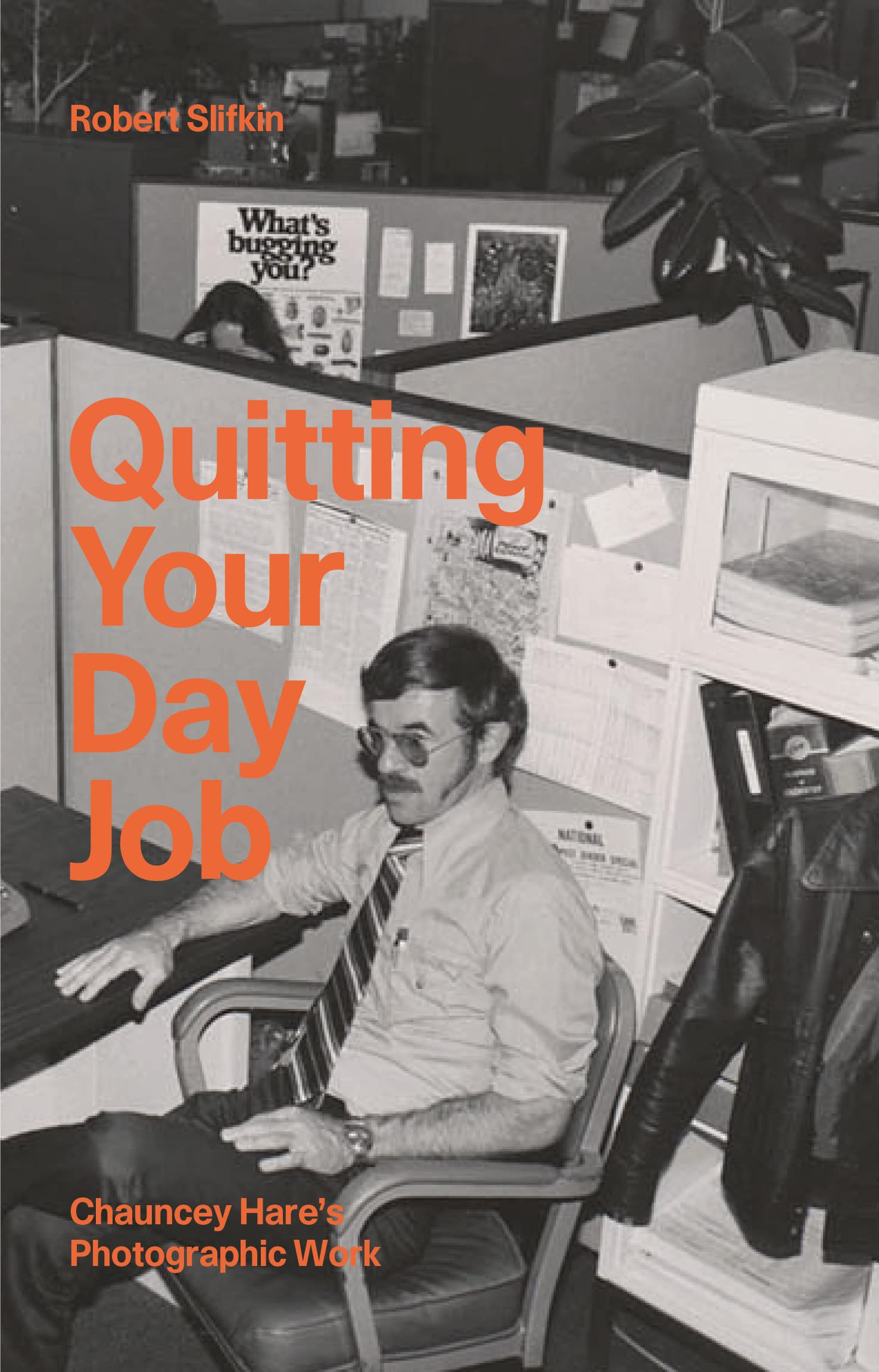 Quitting Your Day Job: Chauncey Hare's Photographic Work (DISCOURSE, Band 8) Art & Literature