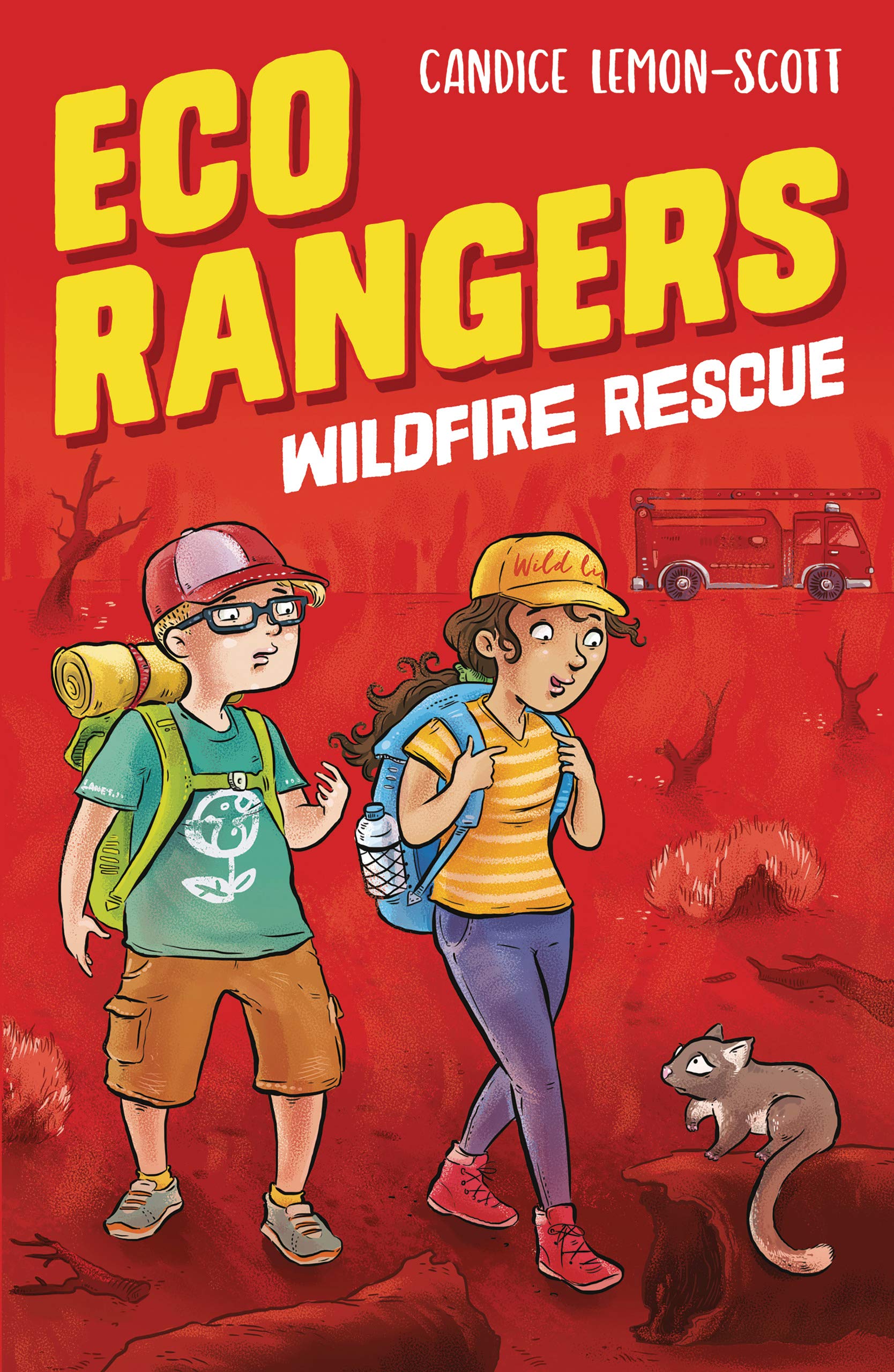 Wildfire Rescue (Eco Rangers, Band 3) Non-fiction
