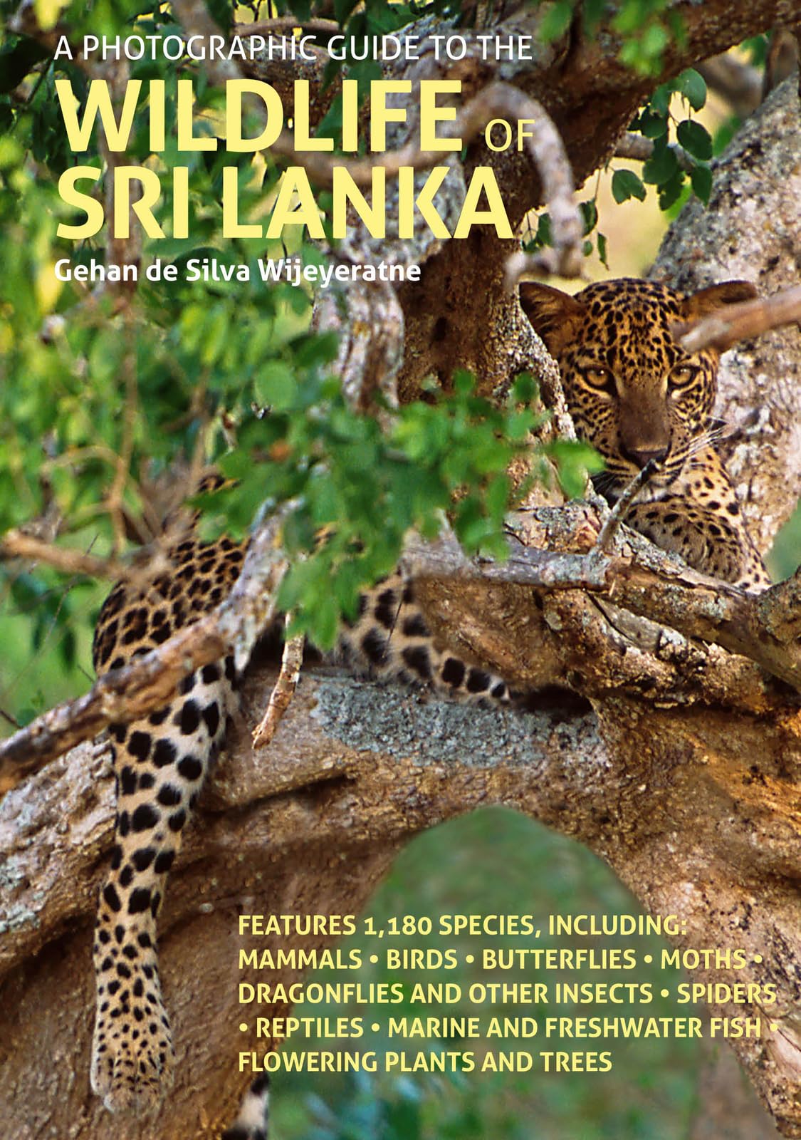 A Photographic Guide to the Wildlife of Sri Lanka Mathematics