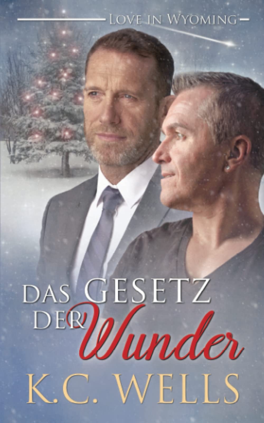 Das Gesetz der Wunder (Love in Wyoming, Band 2) LGBTQ+