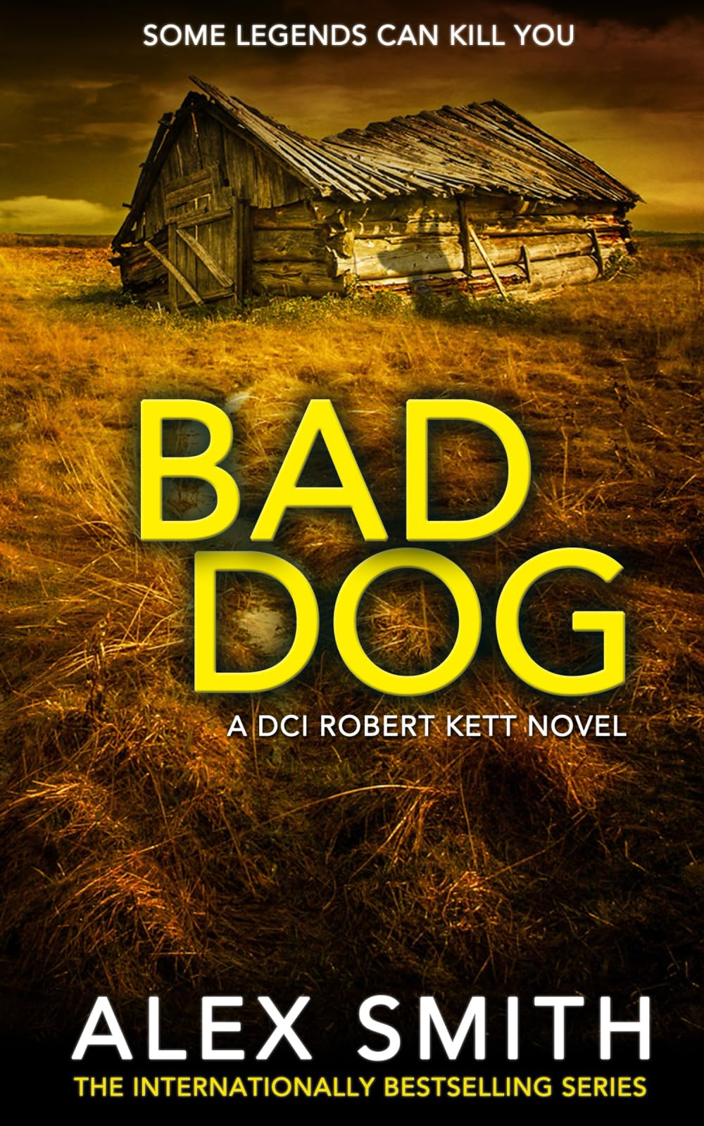 Bad Dog: A Gripping British Crime Thriller (DCI Kett Crime Thrillers, Band 2) Action & Adventure