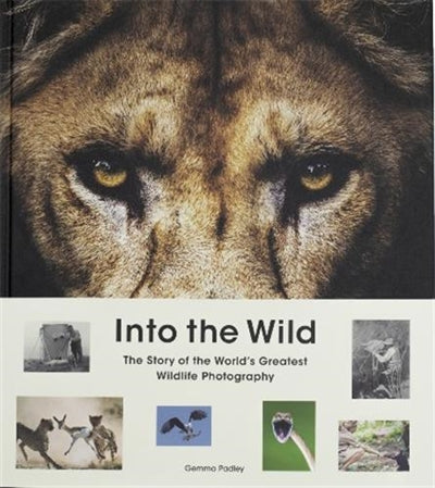 Product Image: Into the Wild