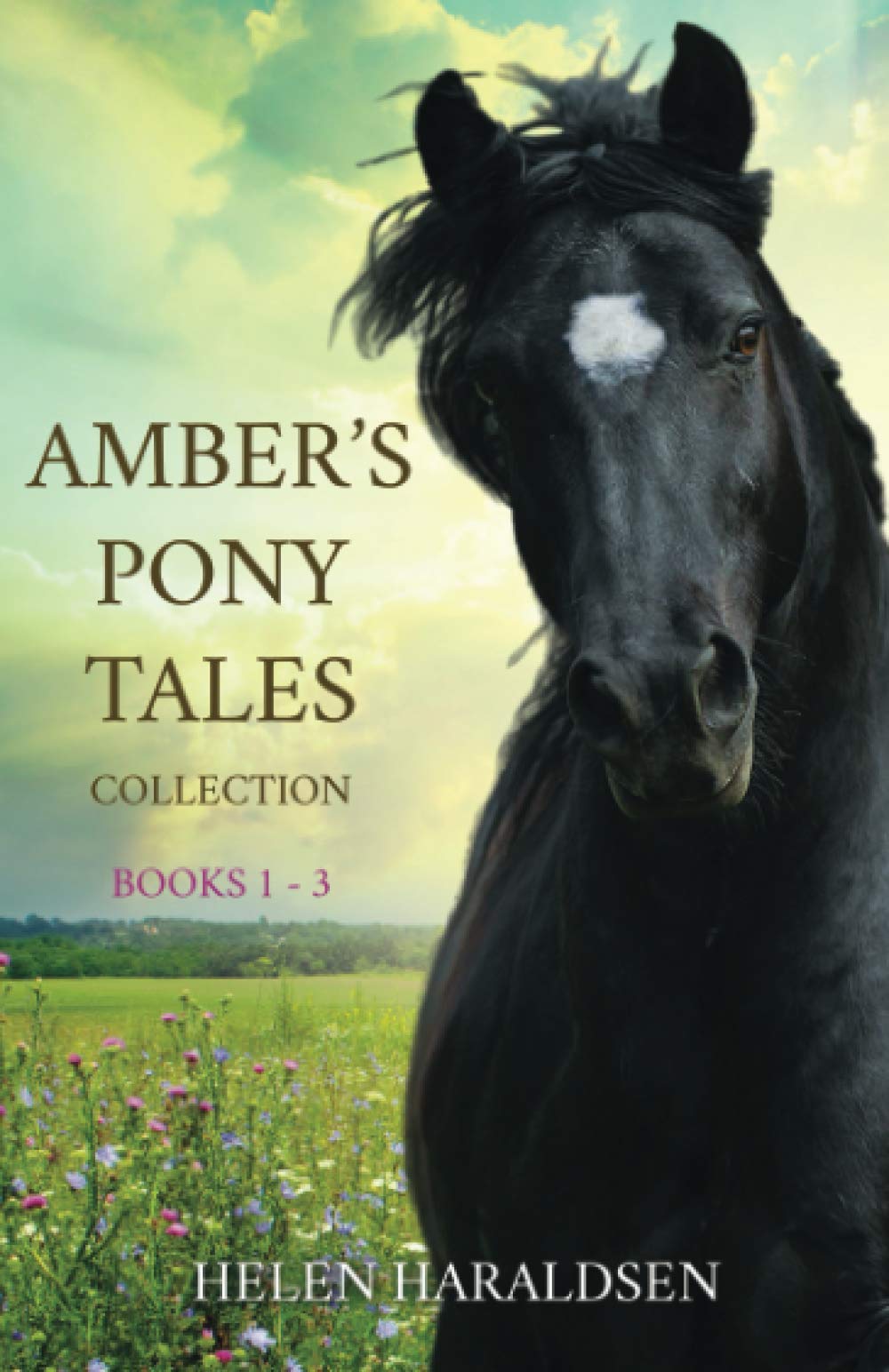 Amber's Pony Tales Collection: Books 1 - 3 Leisure & Fun