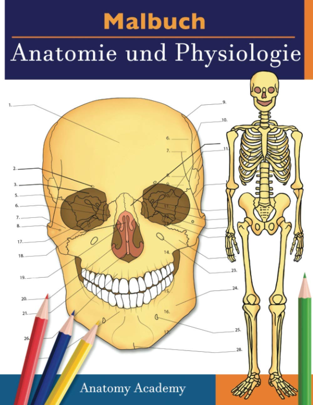 Malbuch Anatomie und Physiologie: Unglaublich detailliertes Arbeitsbuch zum Selbsttest Farbe für das Studium | Perfektes Geschenk für Medizinstudenten, Ärzte, Krankenschwestern und Erwachsene Medicine