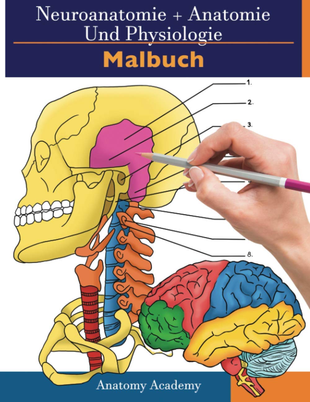 Neuroanatomie + Anatomie und Physiologie Malbuch Medicine