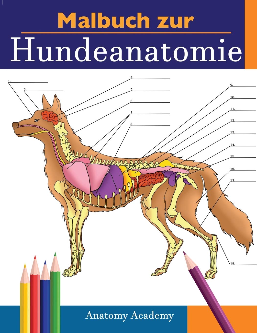 Malbuch zur Hundeanatomie Medicine