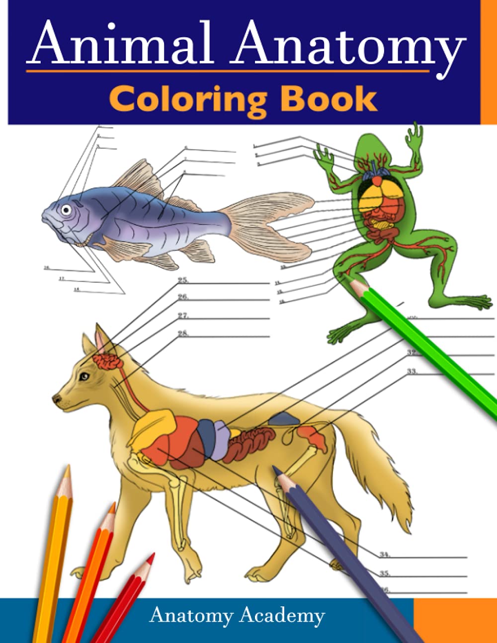 Animal Anatomy Coloring Book: Incredibly Detailed Self-Test Veterinary Anatomy Color workbook | Perfect Gift for Vet Students & Animal Lovers Medicine
