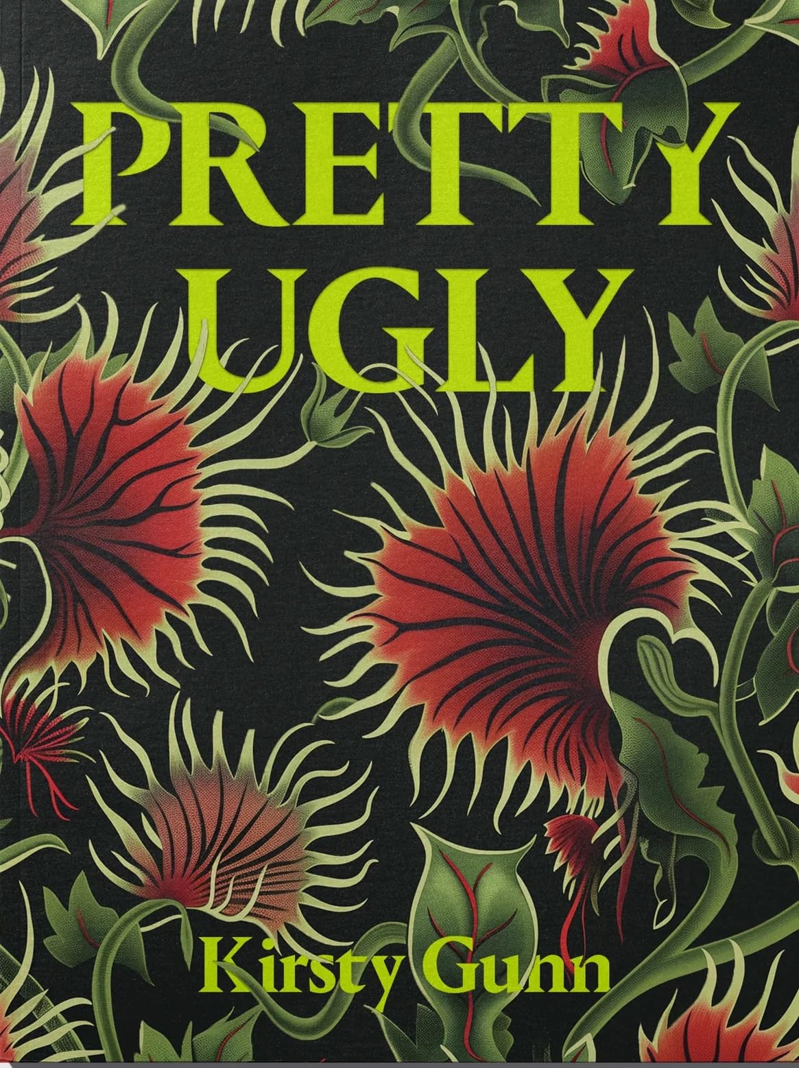 Pretty Ugly - Kirsty Gunn Film, Art & Culture