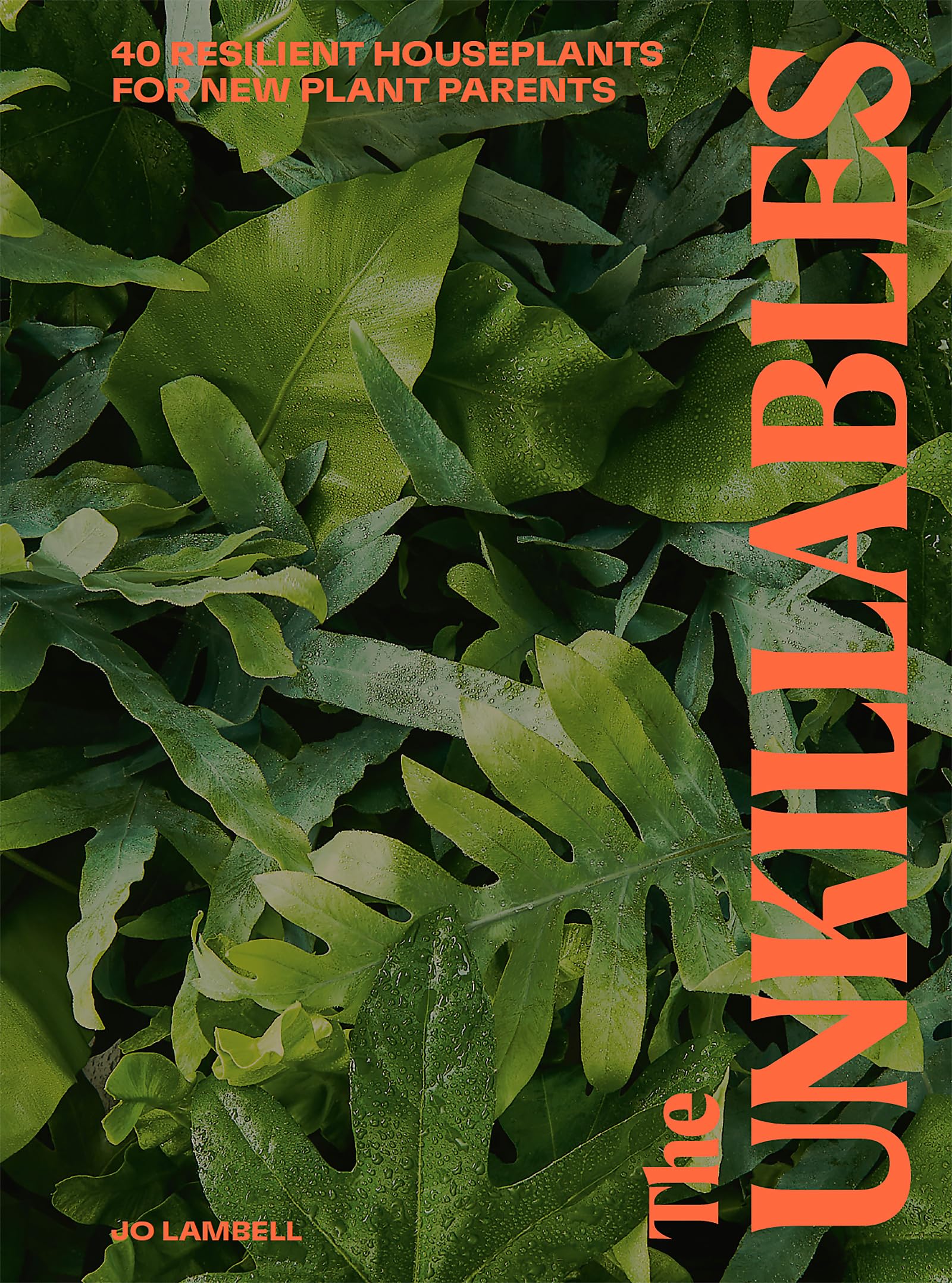 The Unkillables: 40 resilient house plants for new plant parents Mathematics