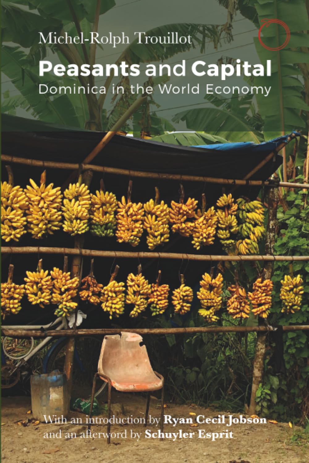 Peasants and Capital: Dominica in the World Economy (Classics in Ethnographic Theory) Books