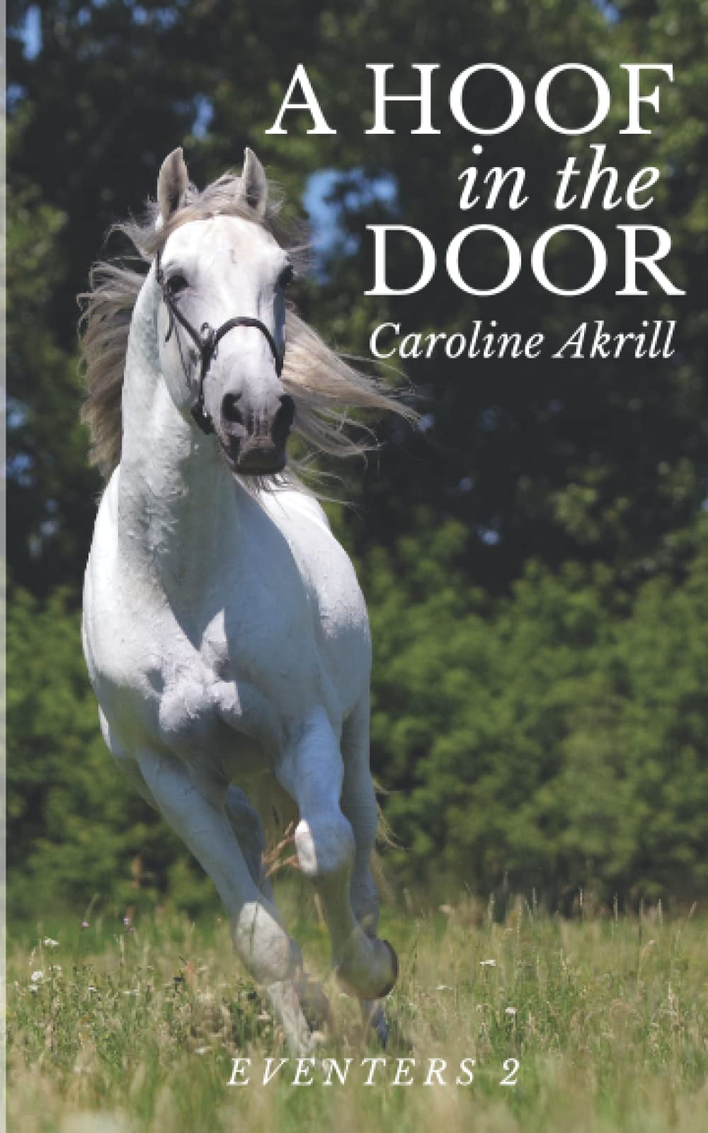 A Hoof in the Door (Eventers, Band 2) Leisure & Fun