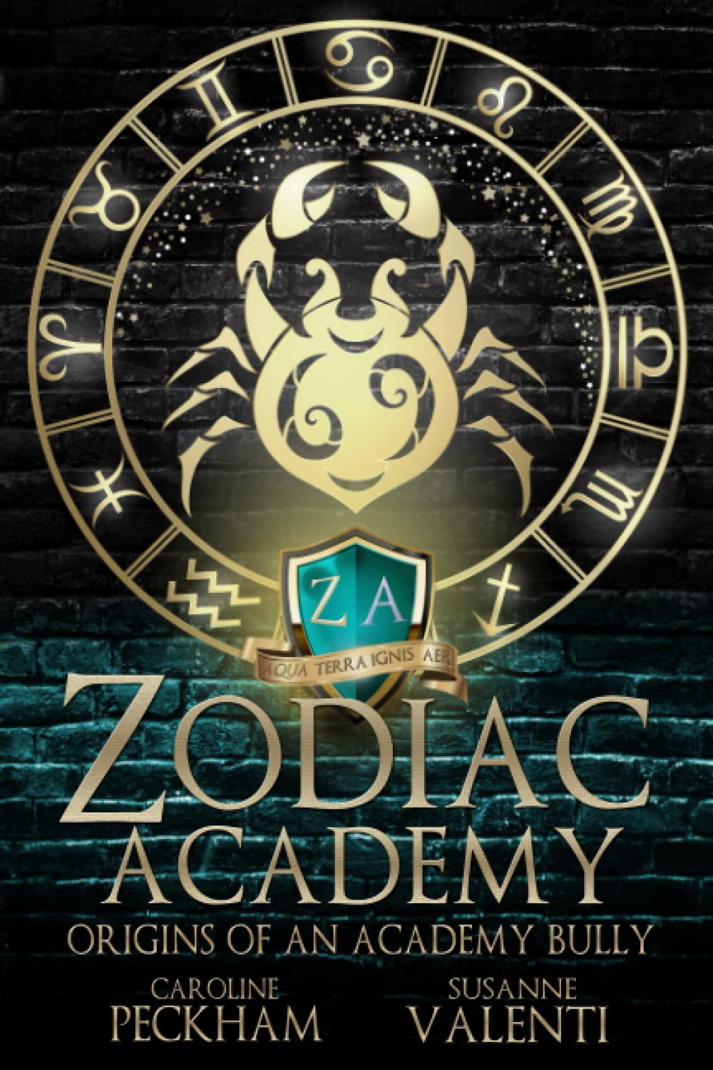 Zodiac Academy: Origins of an Academy Bully Romantic Fantasy