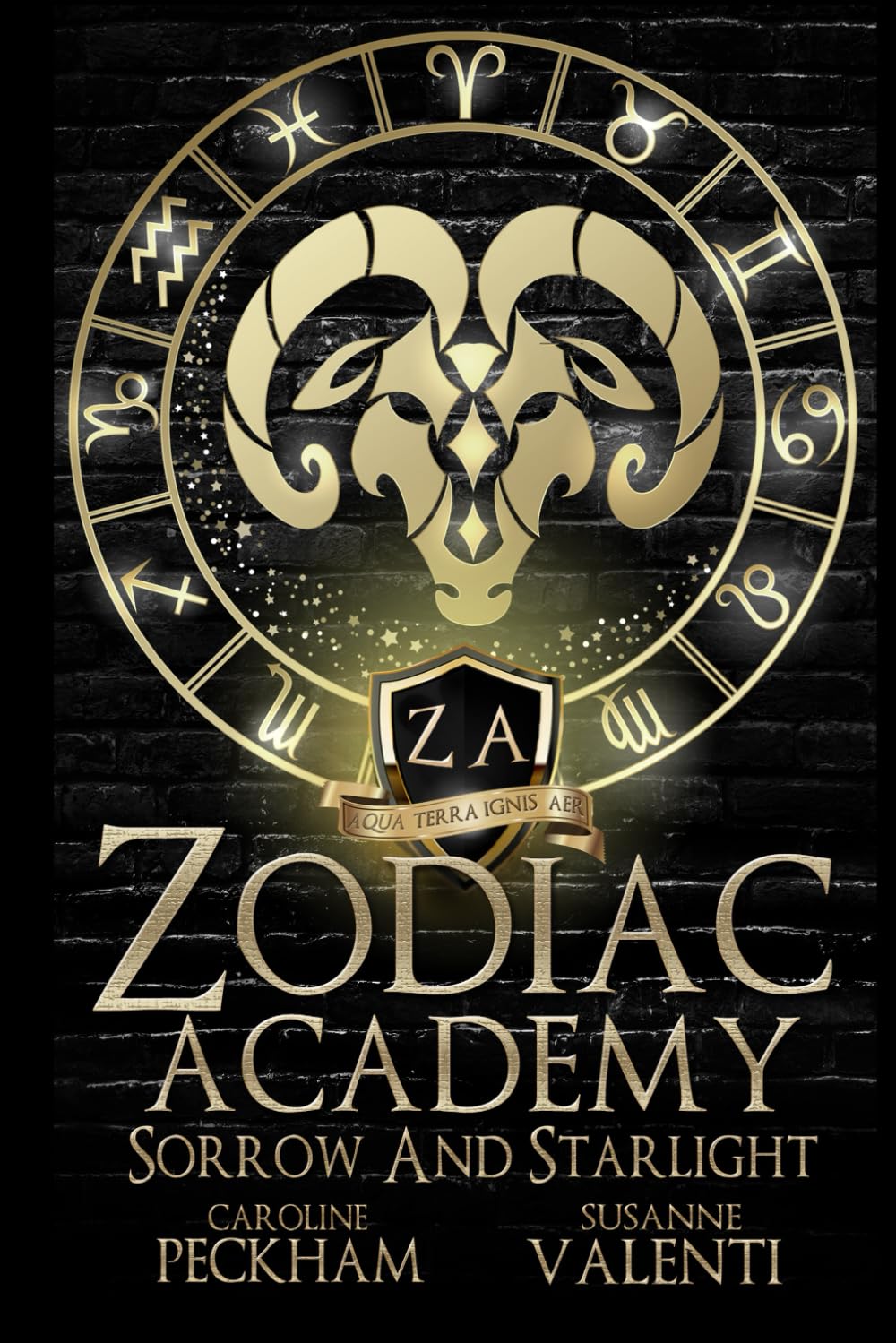 Zodiac Academy 8: Sorrow and Starlight: Matte Edition Vampires & Bit-Lit