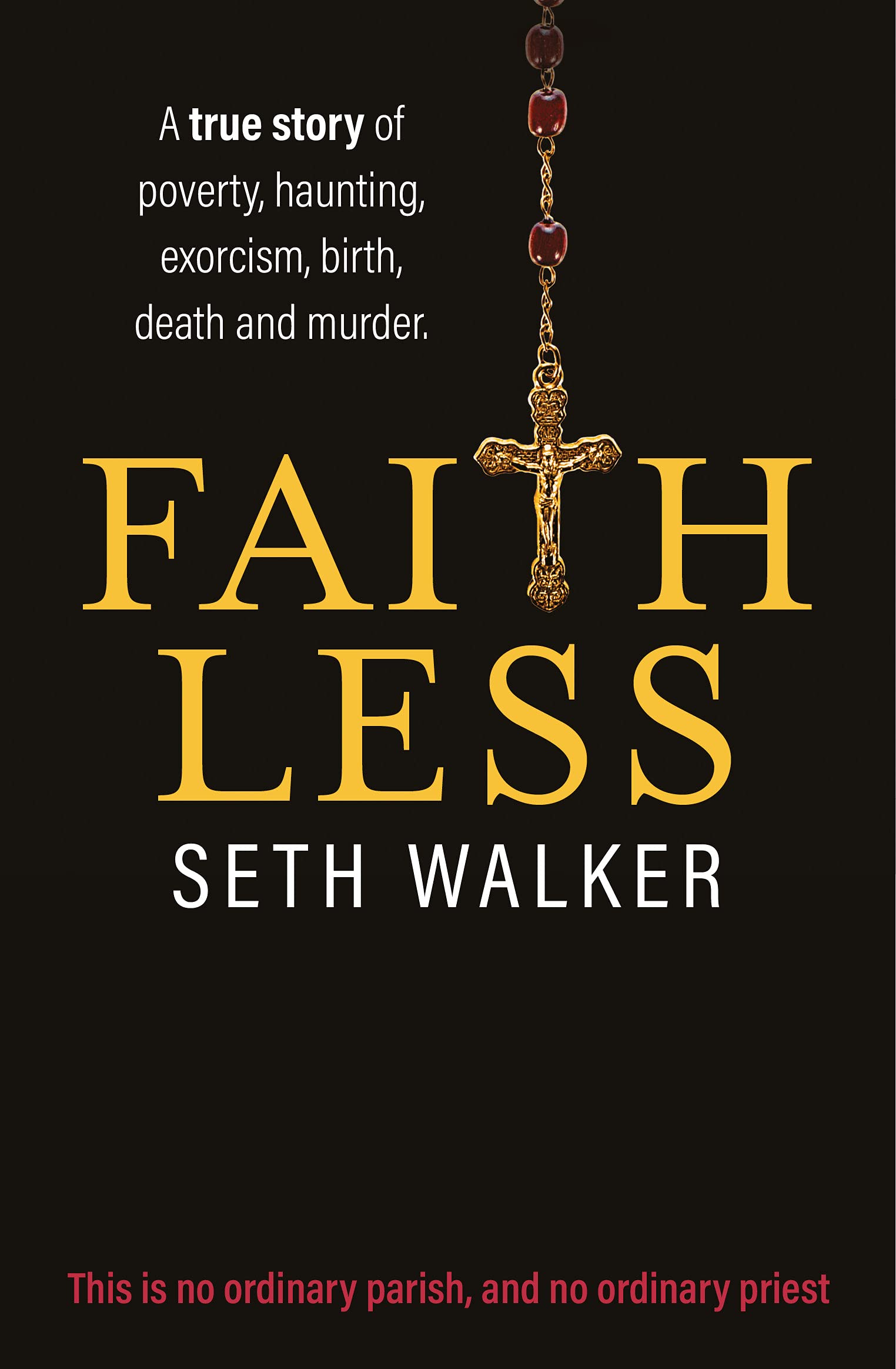 Faithless: A True Story of Poverty, Haunting, Exorcism, Birth, Death and Murder Politics & Society