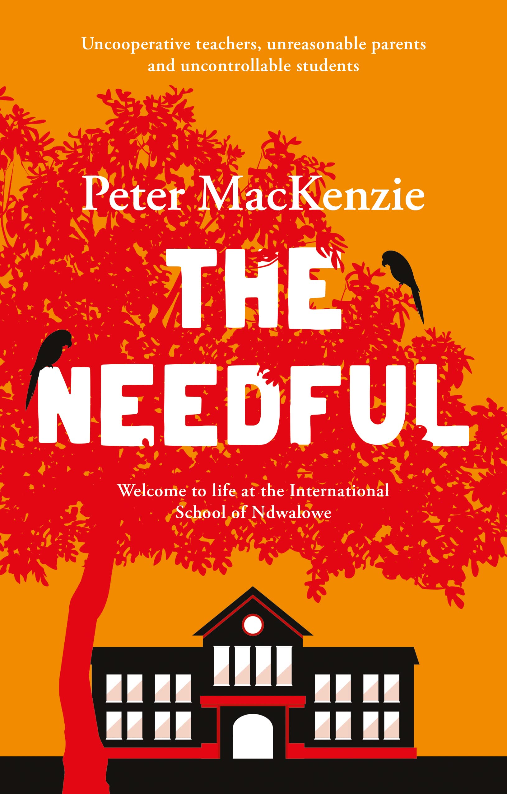 The Needful: A year in an international school in Africa Contemporary literature