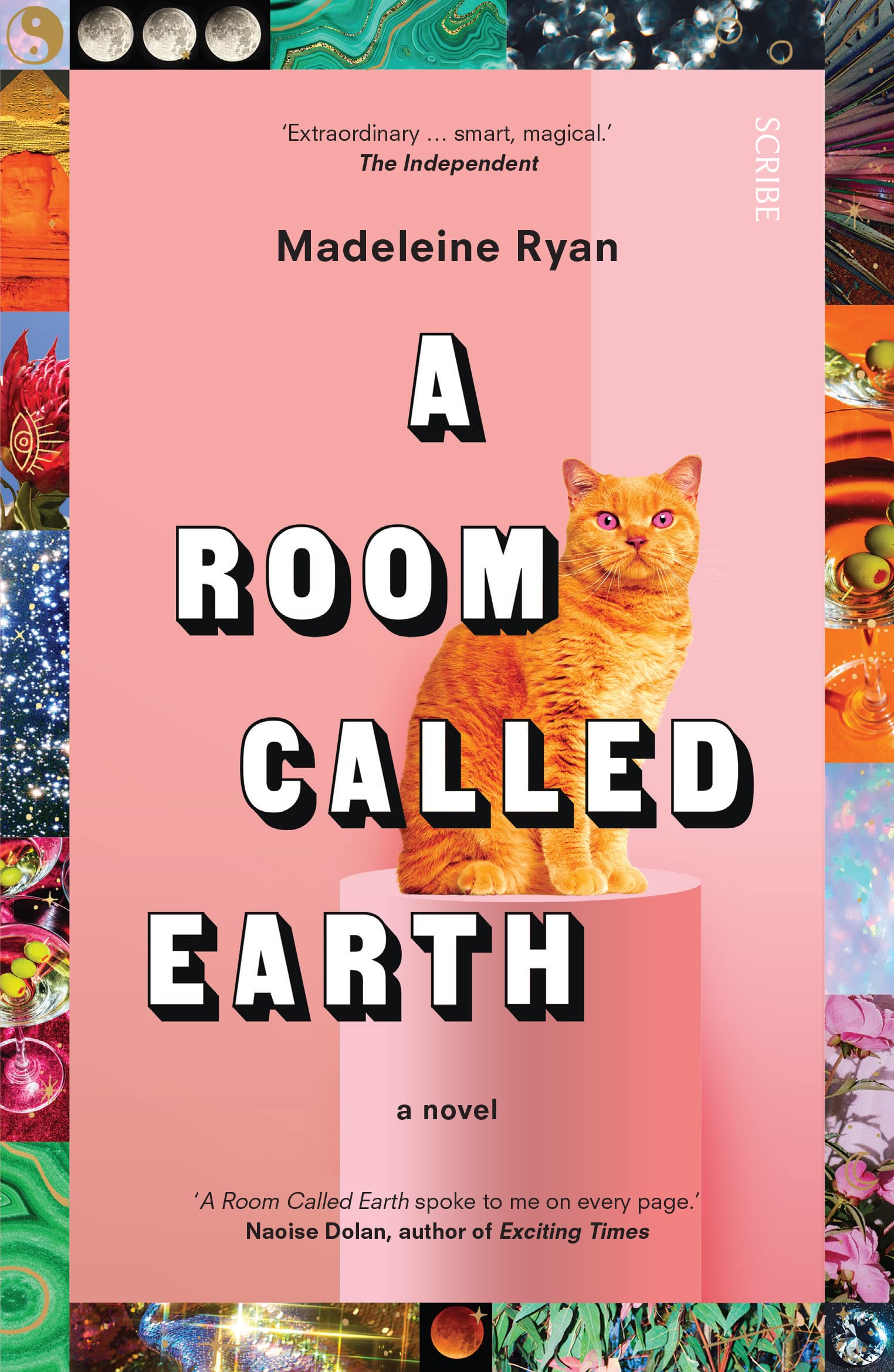 A Room Called Earth Medicine