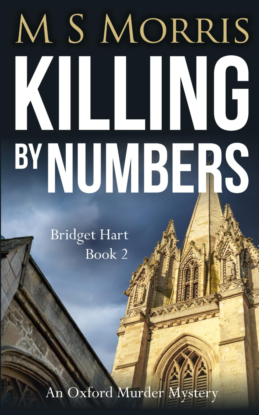 Killing by Numbers: An Oxford Murder Mystery book