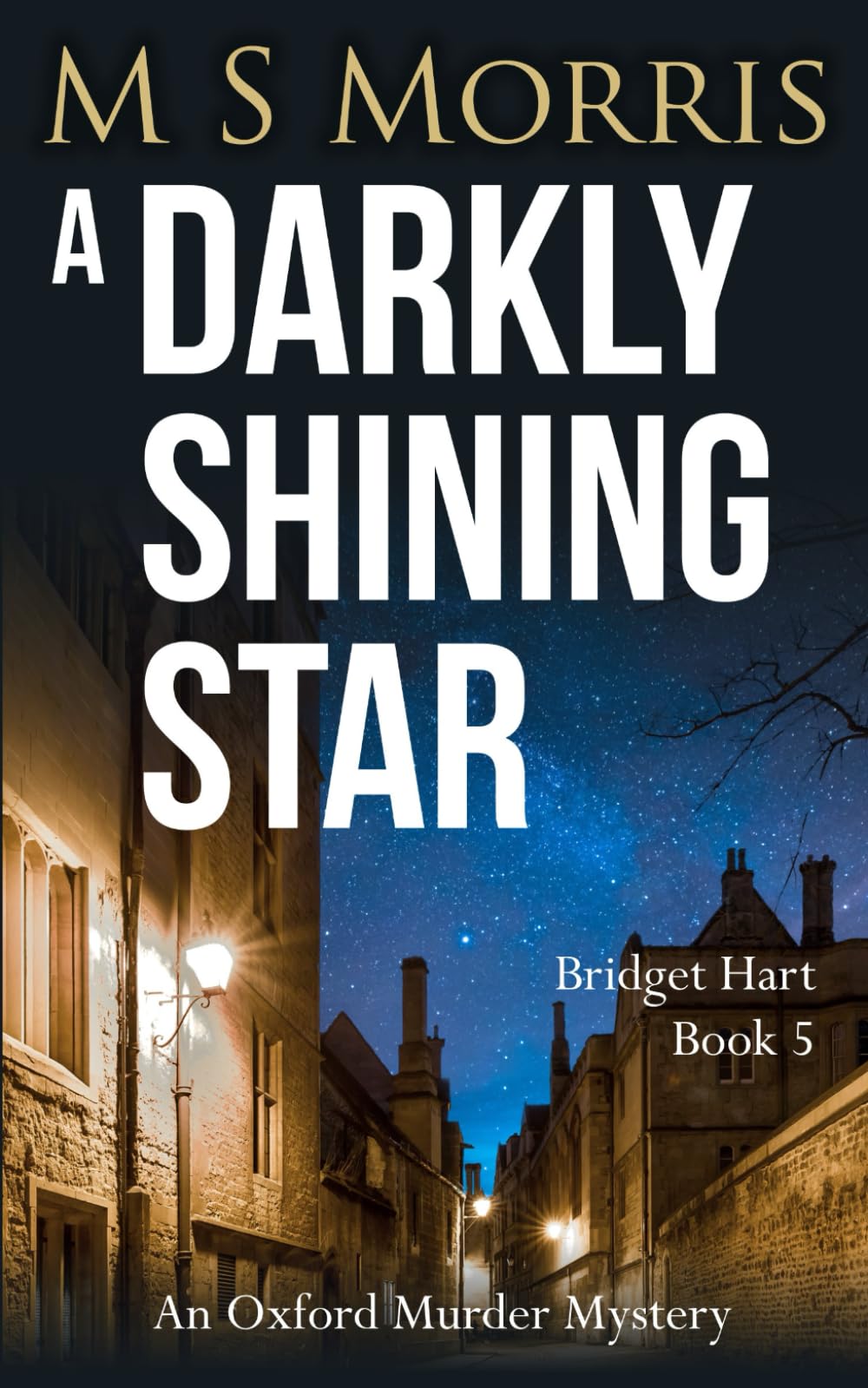 A Darkly Shining Star: An Oxford Murder Mystery (Bridget Hart, Band 5) Contemporary literature