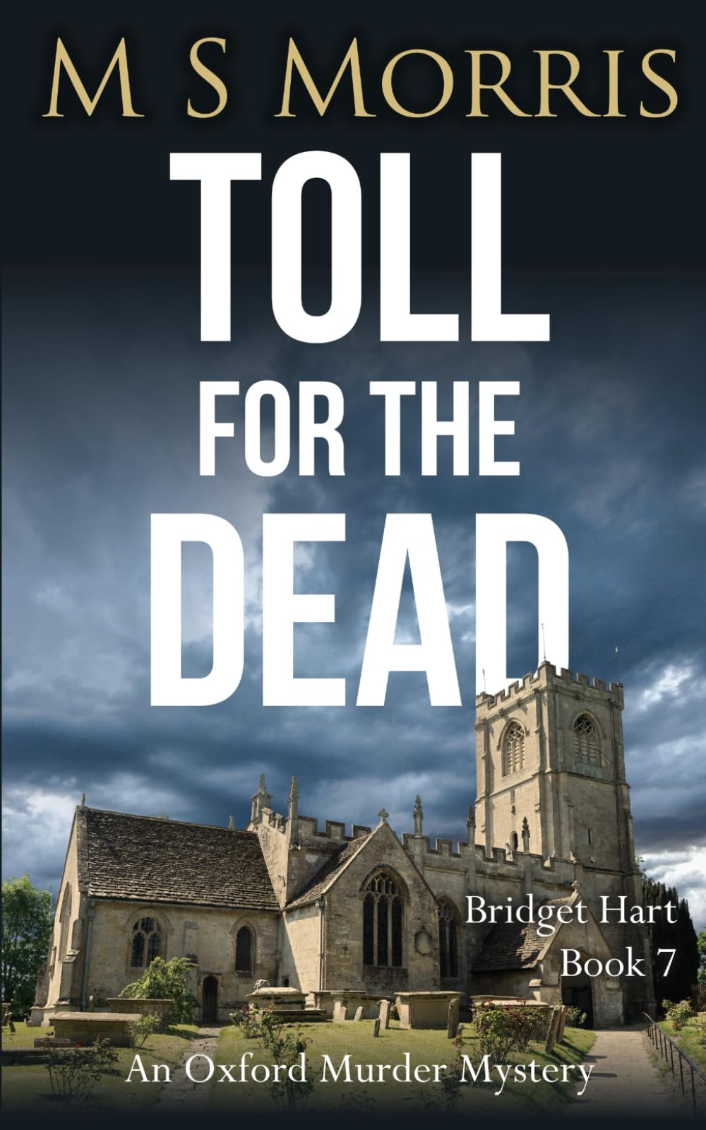 Toll for the Dead: An Oxford Murder Mystery book