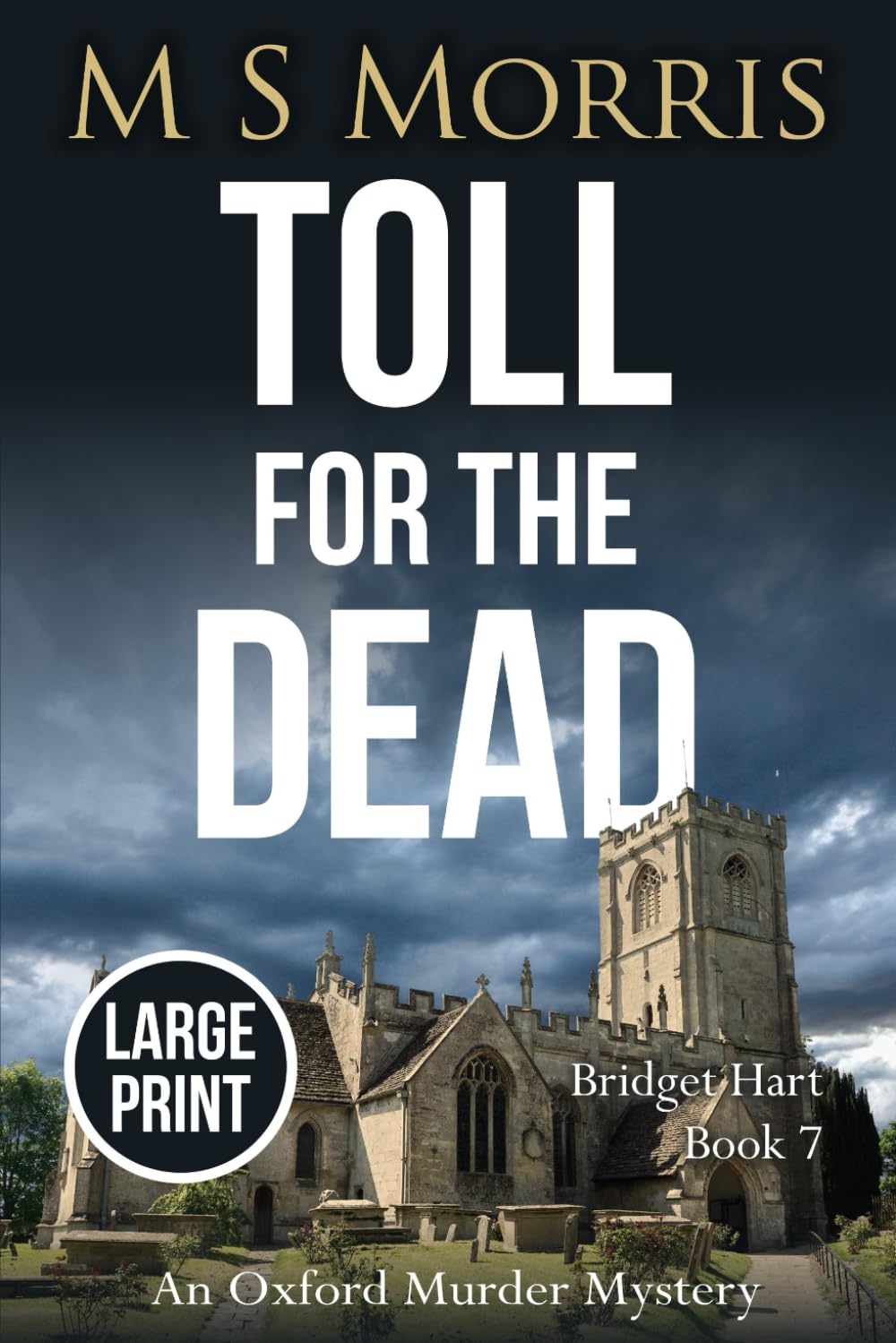 Toll for the Dead (Large Print): An Oxford Murder Mystery (Bridget Hart, Band 7) Contemporary literature