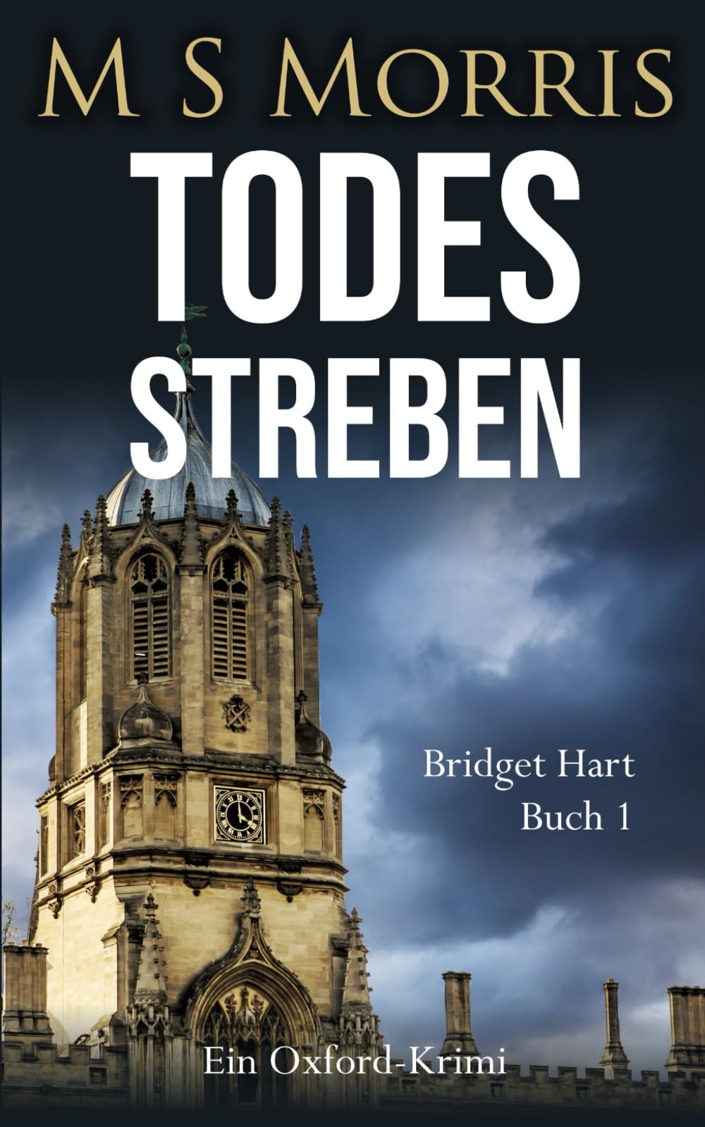 Todesstreben: Ein Oxford-Krimi (Die Bridget-Hart-Reihe, Band 1) Contemporary literature