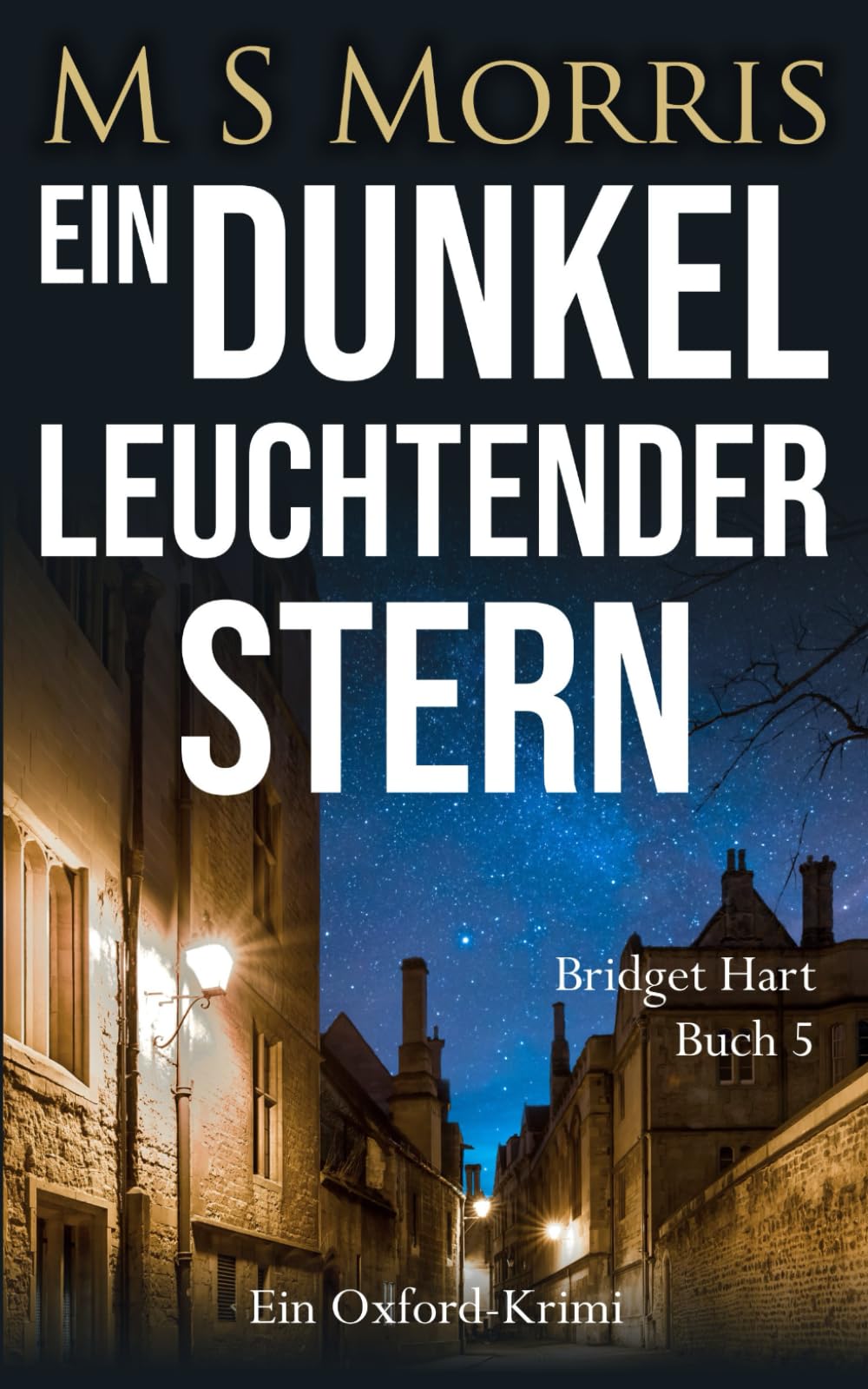 Ein dunkel leuchtender Stern: Ein Oxford-Krimi (Die Bridget-Hart-Reihe, Band 5) Contemporary literature