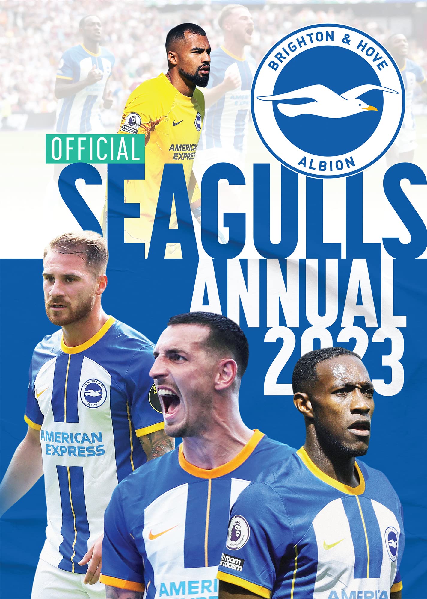 The Official Brighton & Hove Albion FC Annual 2023 Reference Books