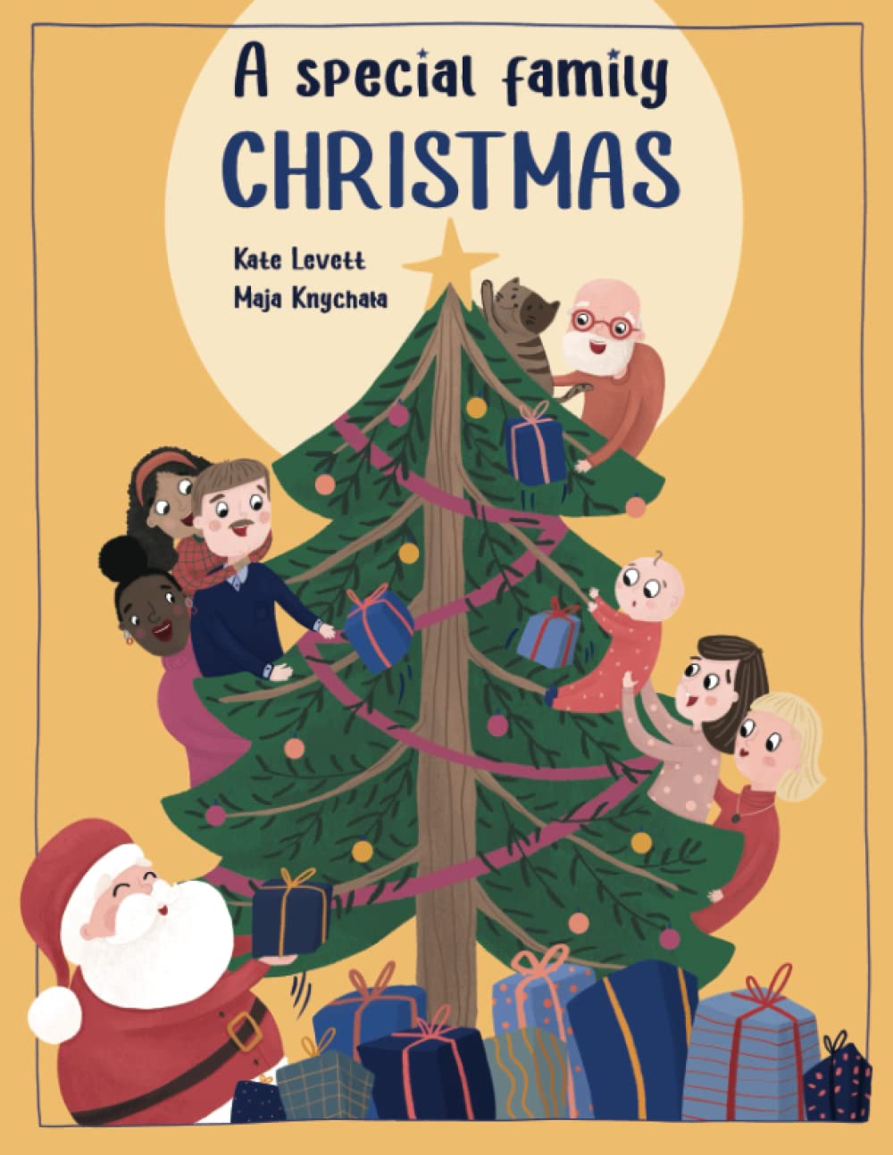 A Special Family Christmas Non-fiction