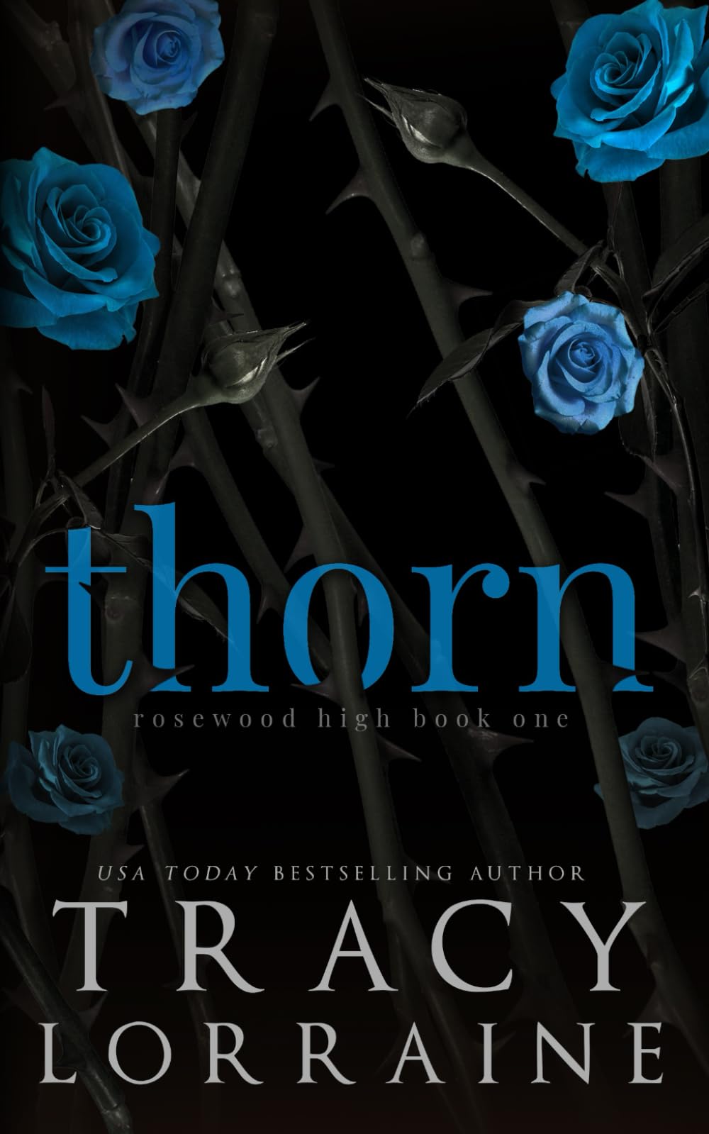 Thorn: A High School Bully Romance (ROSEWOOD HIGH: SPECIAL EDITION, Band 1) Contemporary literature