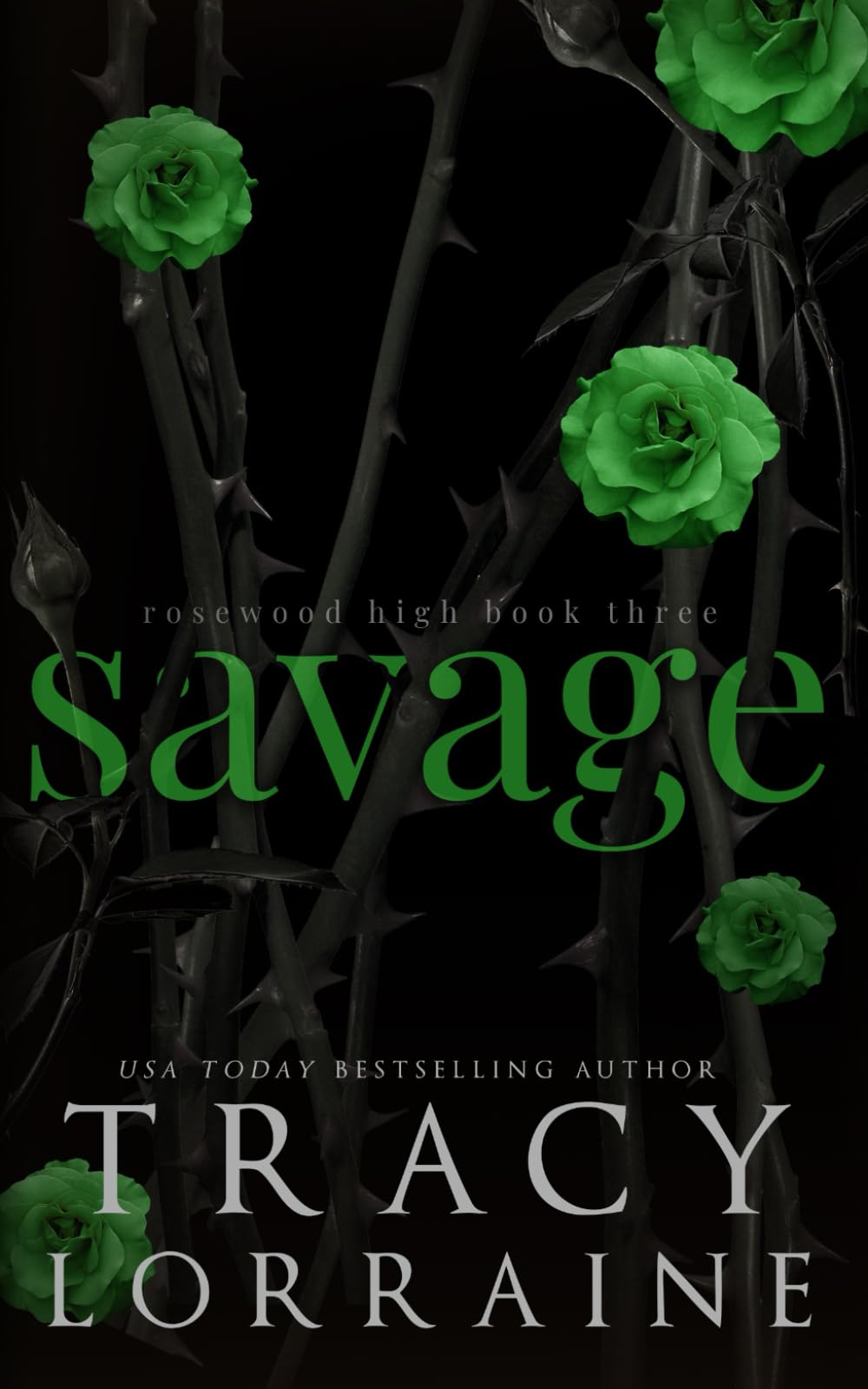 Savage: A Dark High School Bully Romance: Discreet Edition (ROSEWOOD HIGH: SPECIAL EDITION, Band 3) Contemporary literature