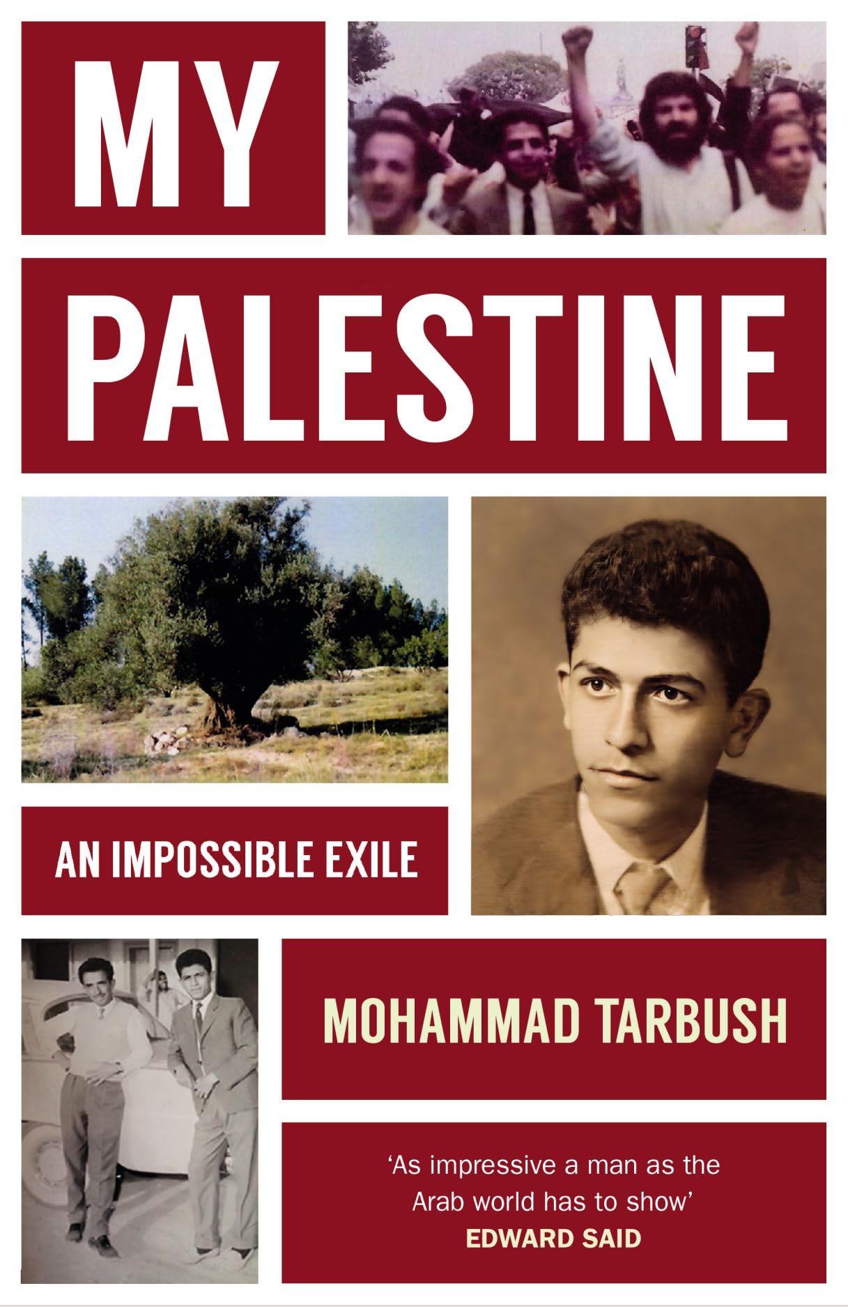 My Palestine Memories