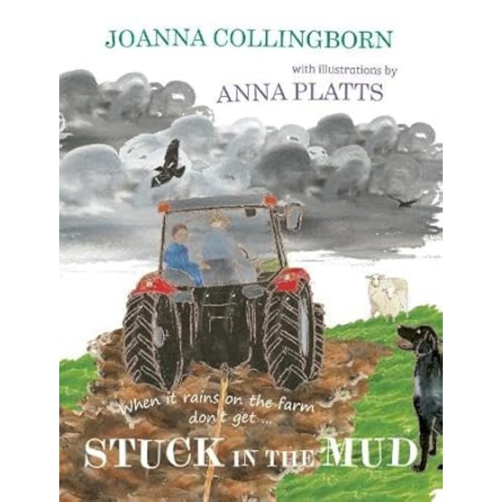 Stuck in the Mud: the brilliant award-winning adventure at Hillside Farm (Adventures at Hillside Farm, Band 1) Non-fiction