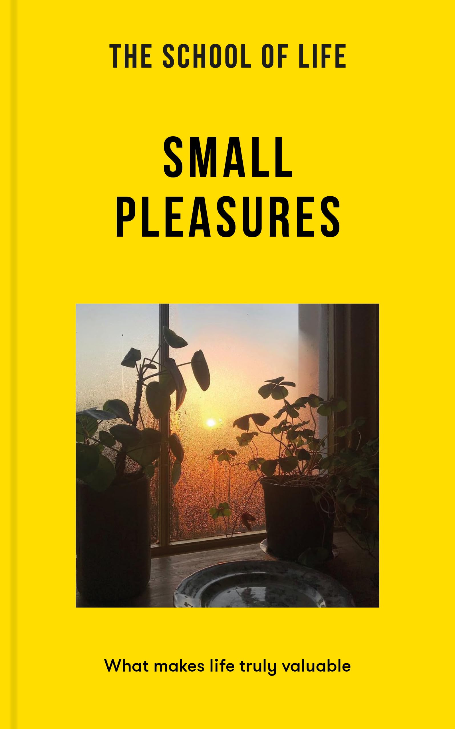 Small Pleasures: What Makes Life Truly Valuable book