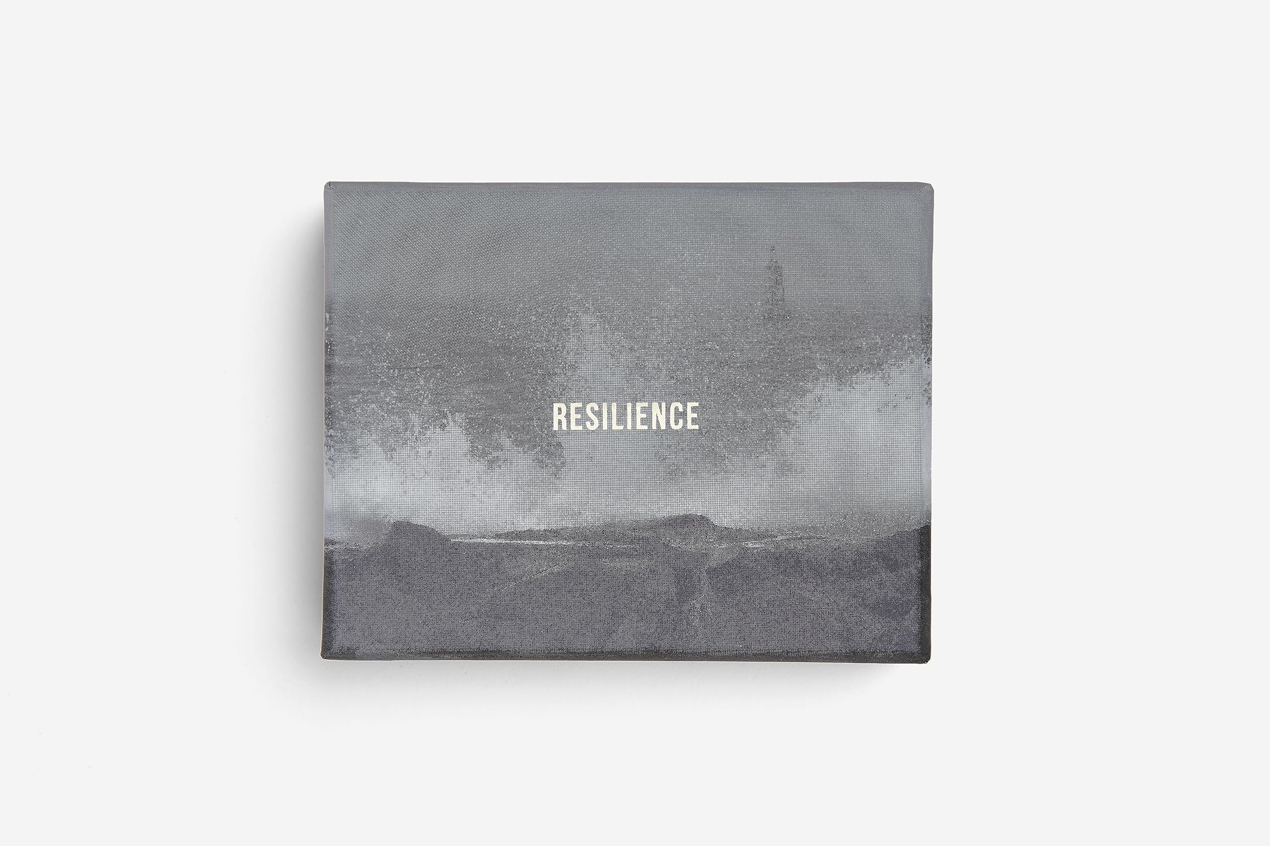 Resilience Cards: Become More Confident in the Face of Adversity Business, Finance & Career