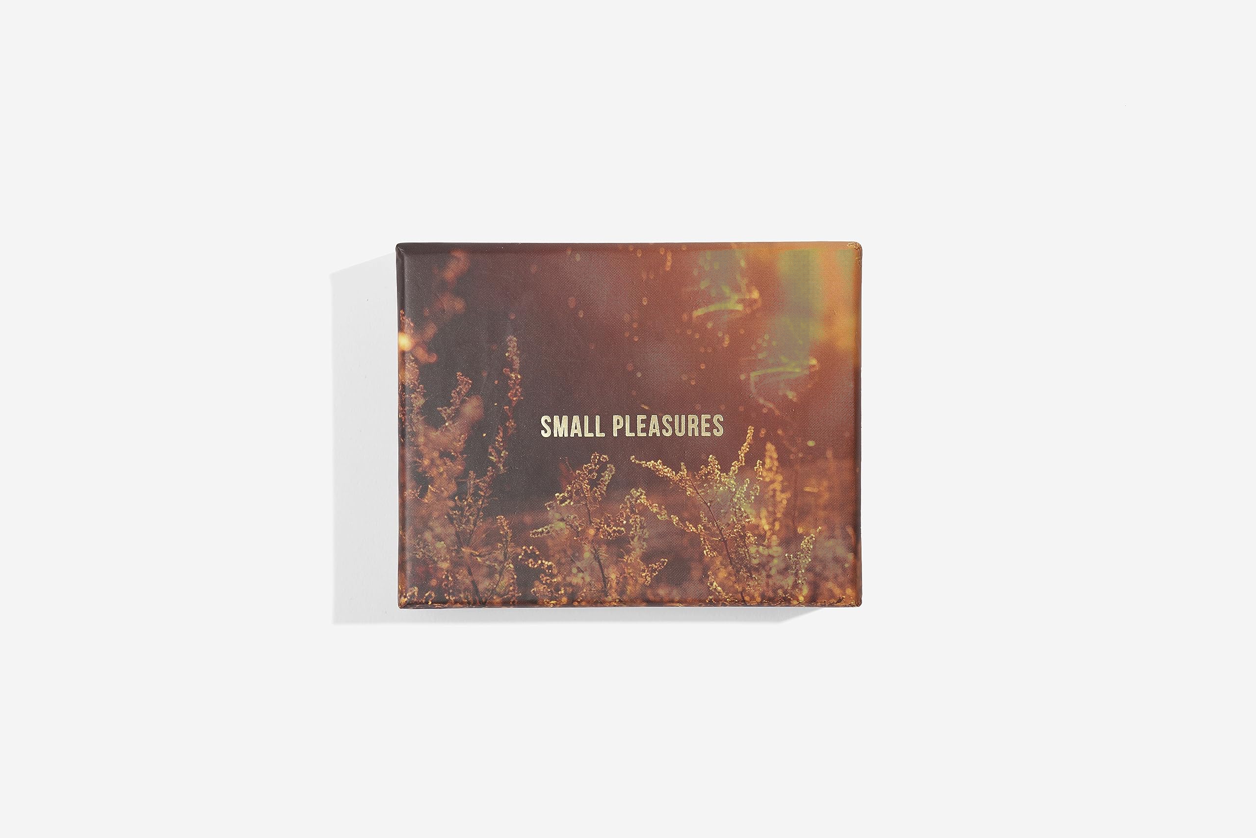 Small Pleasures Card Set: Find Beauty in Overlooked Things Nature & Animals
