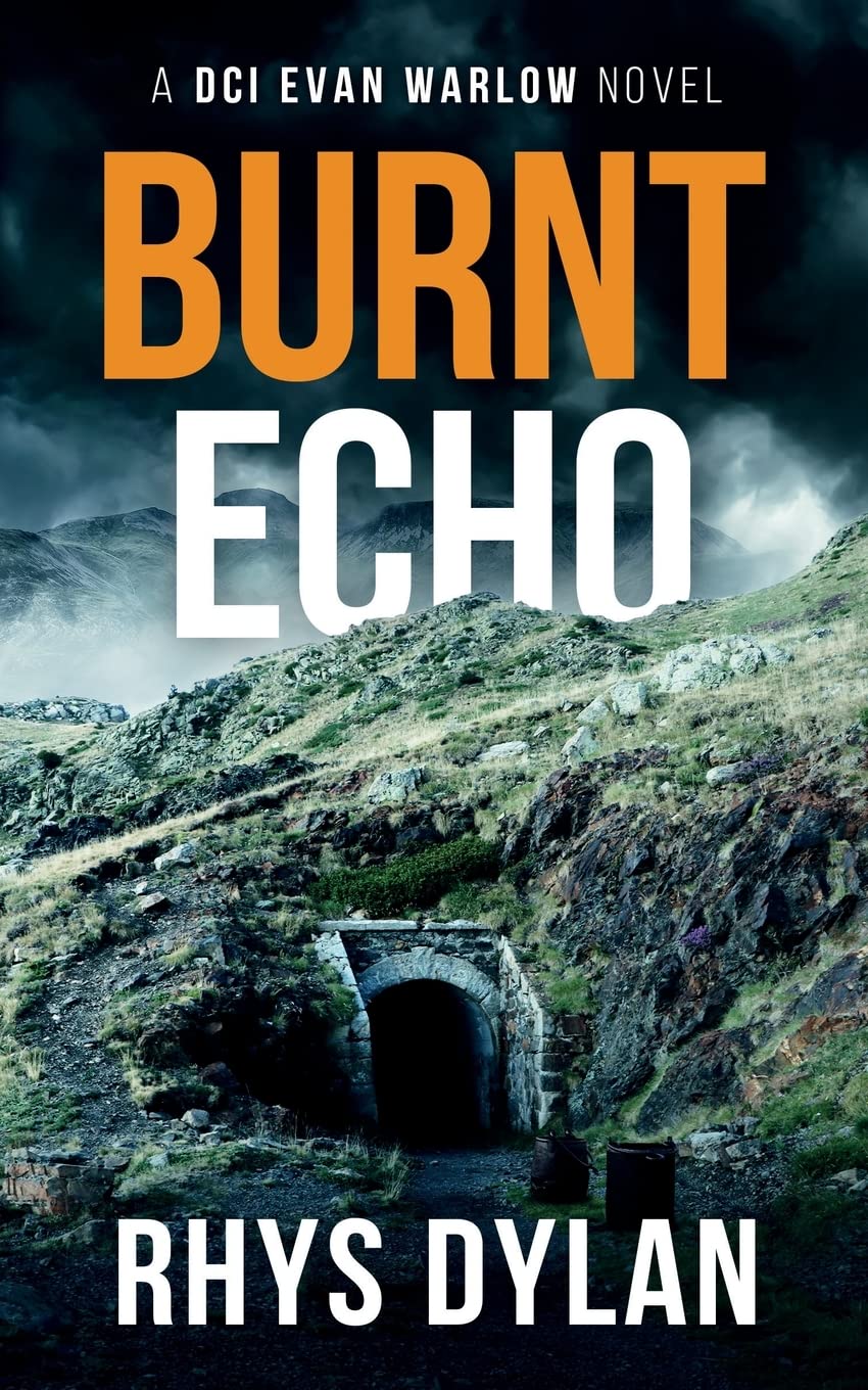 Burnt Echo: A Black Beacons Murder Mystery: A DCI Evan Warlow Crime Thriller Contemporary literature