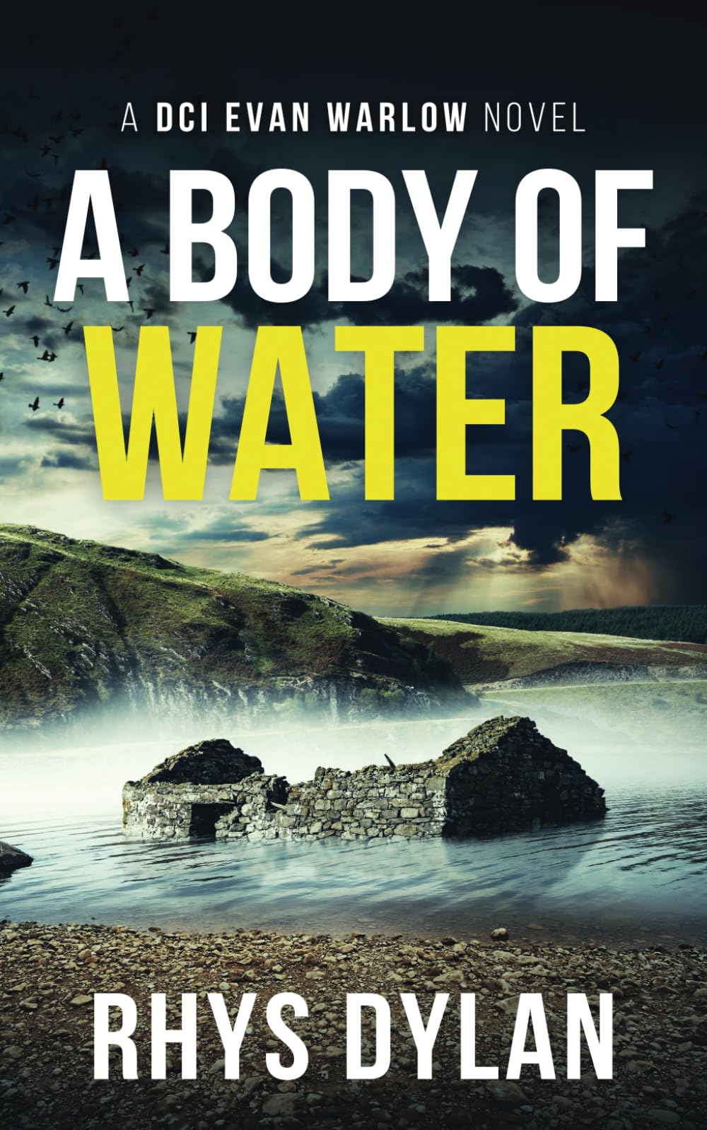 A Body of Water: A Black Beacons Murder Mystery: A DCI Evan Warlow Crime Thriller Contemporary literature