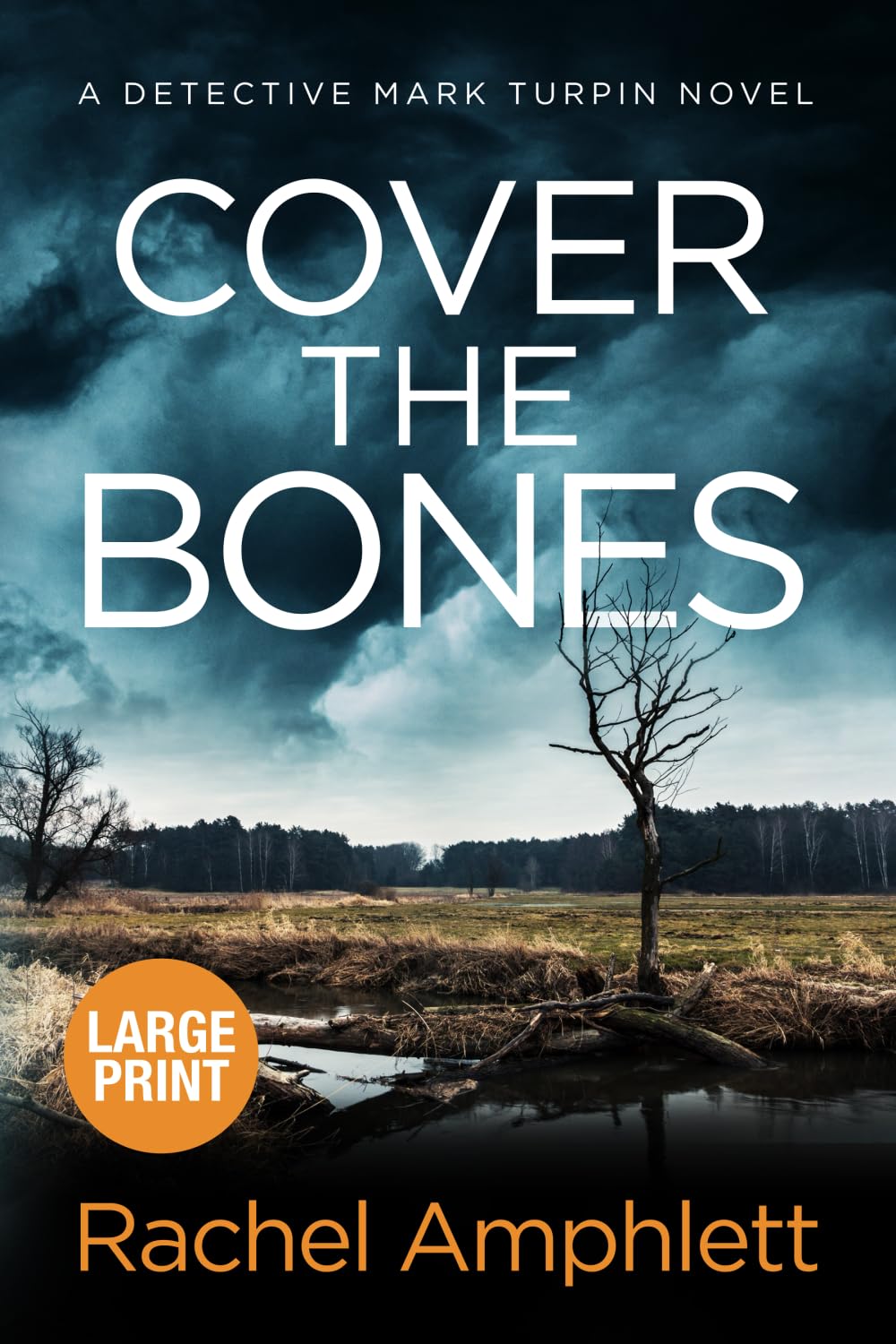 Cover the Bones: A Detective Mark Turpin murder mystery (large print) book