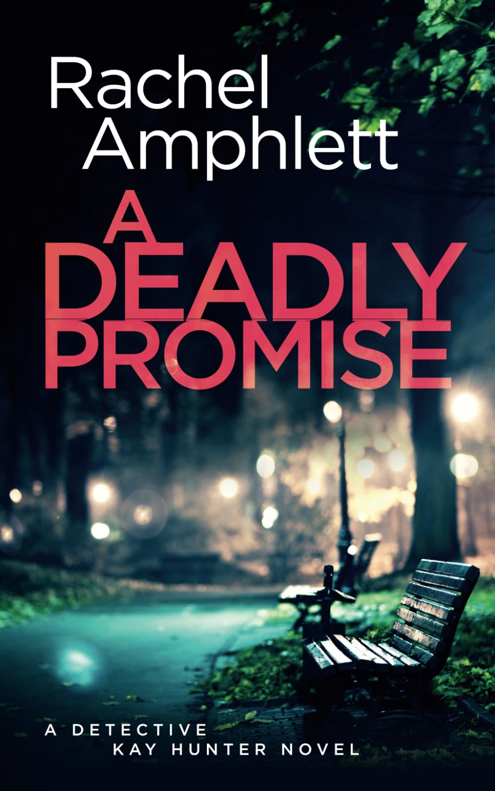 A Deadly Promise: A page-turning crime thriller: A Detective Kay Hunter crime thriller Contemporary literature