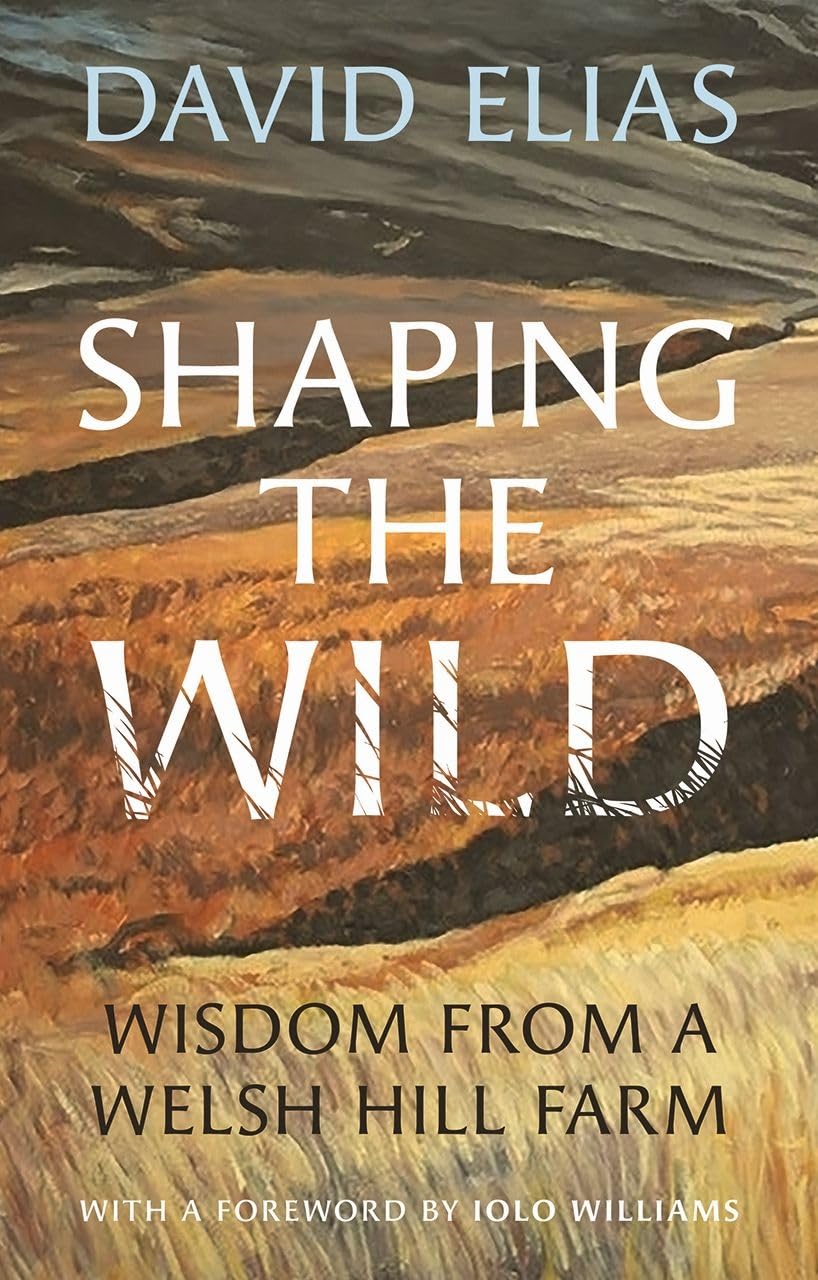 Shaping the Wild: Wisdom from a Welsh Hill Farm Mathematics