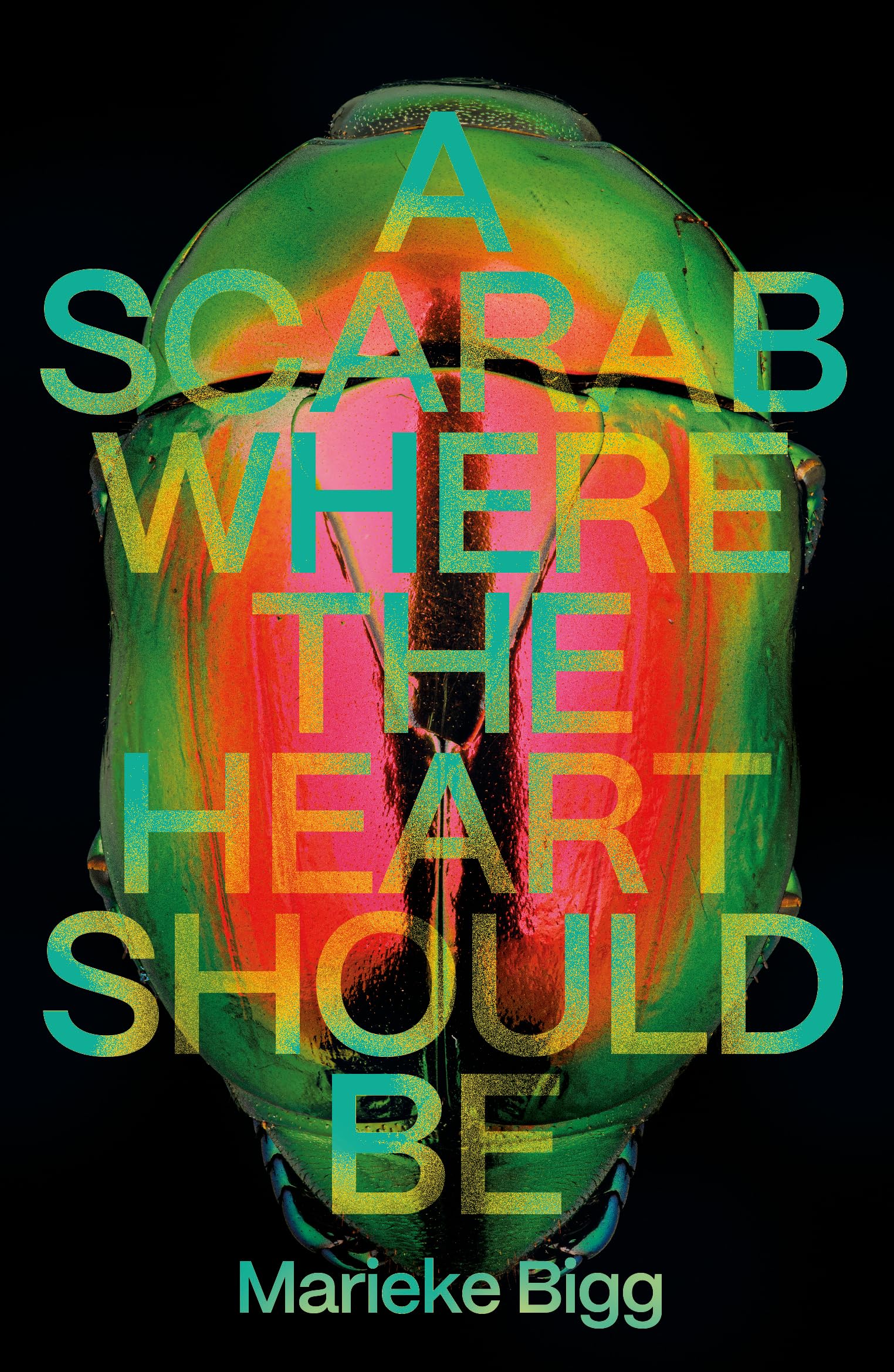 A Scarab Where the Heart Should Be Contemporary literature