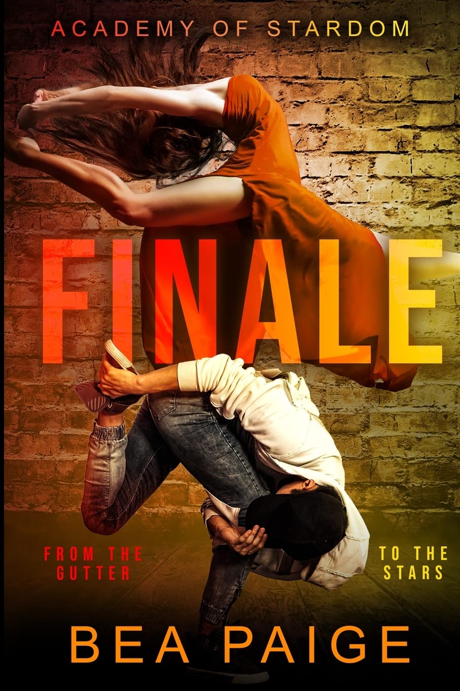 Finale (Academy of Stardom, Band 4) Contemporary literature