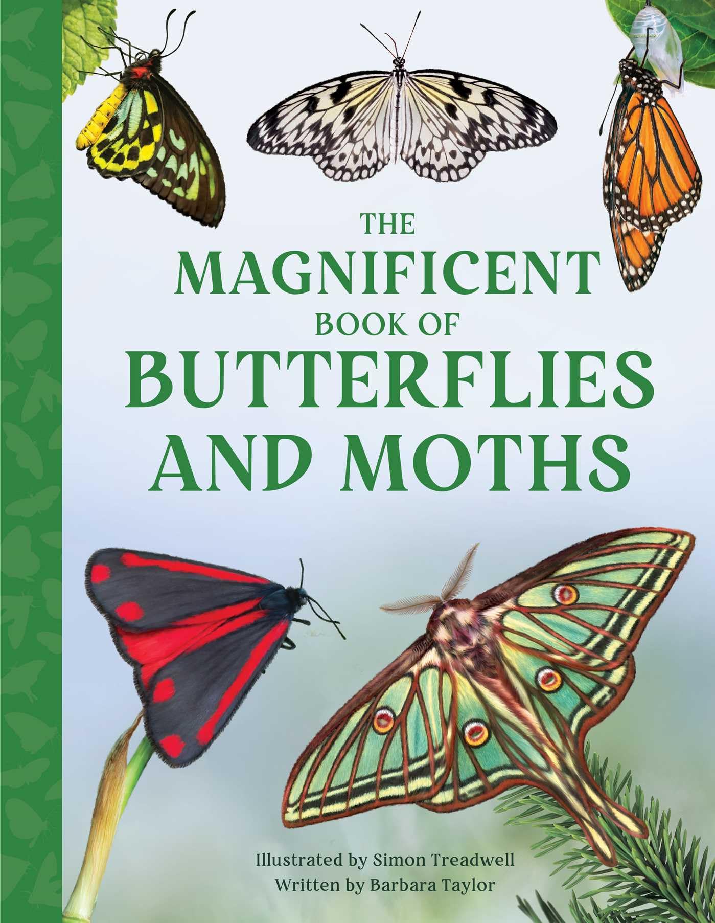 The Magnificent Book of Butterflies & Moths Non-fiction
