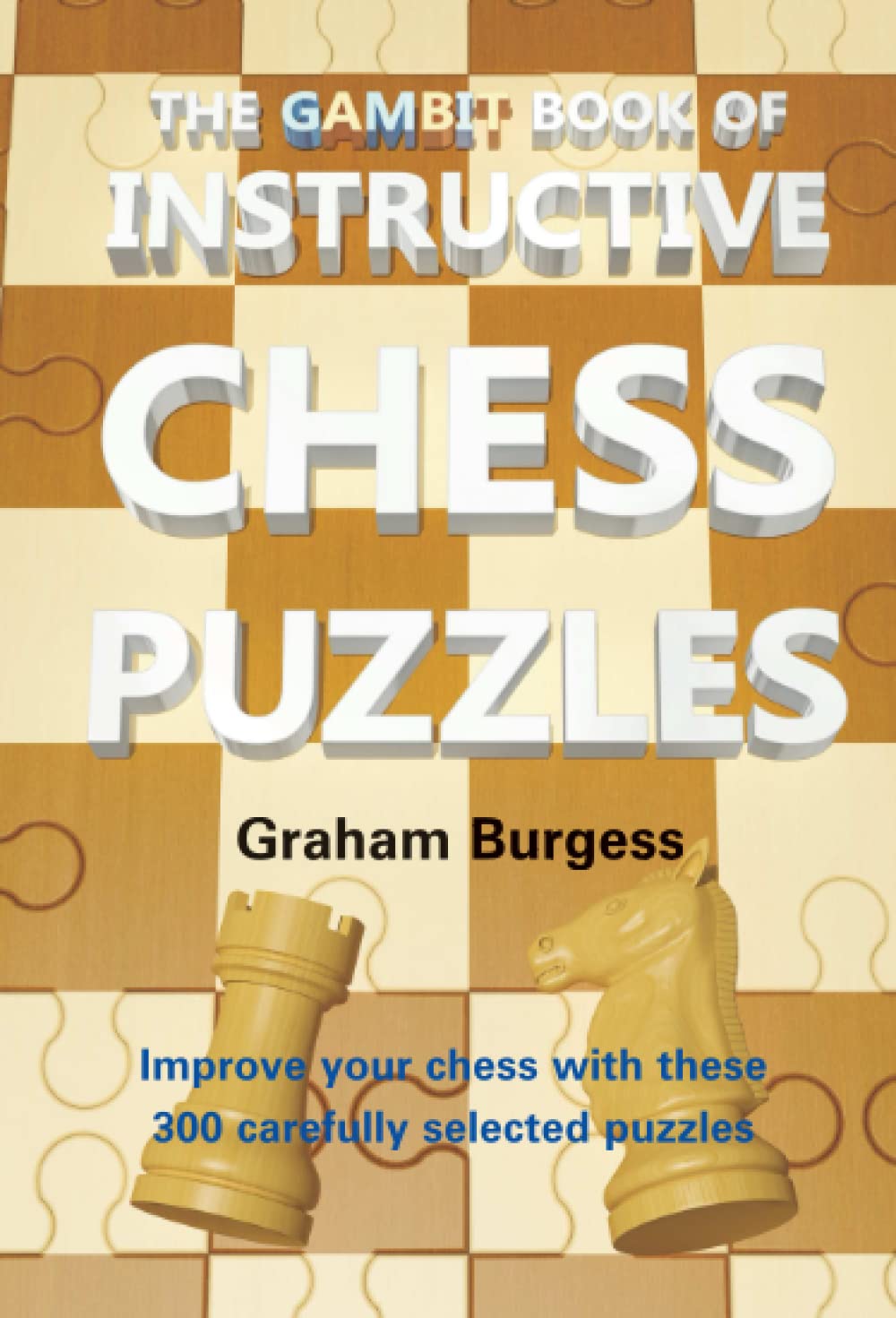 The Gambit Book of Instructive Chess Puzzles (Chess Exercises) Leisure & Fun