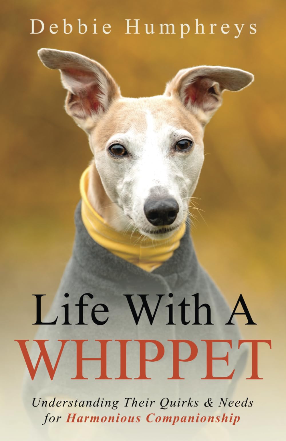 Life With a Whippet: Understanding Their Quirks and Needs for Harmonious Companionship Mathematics