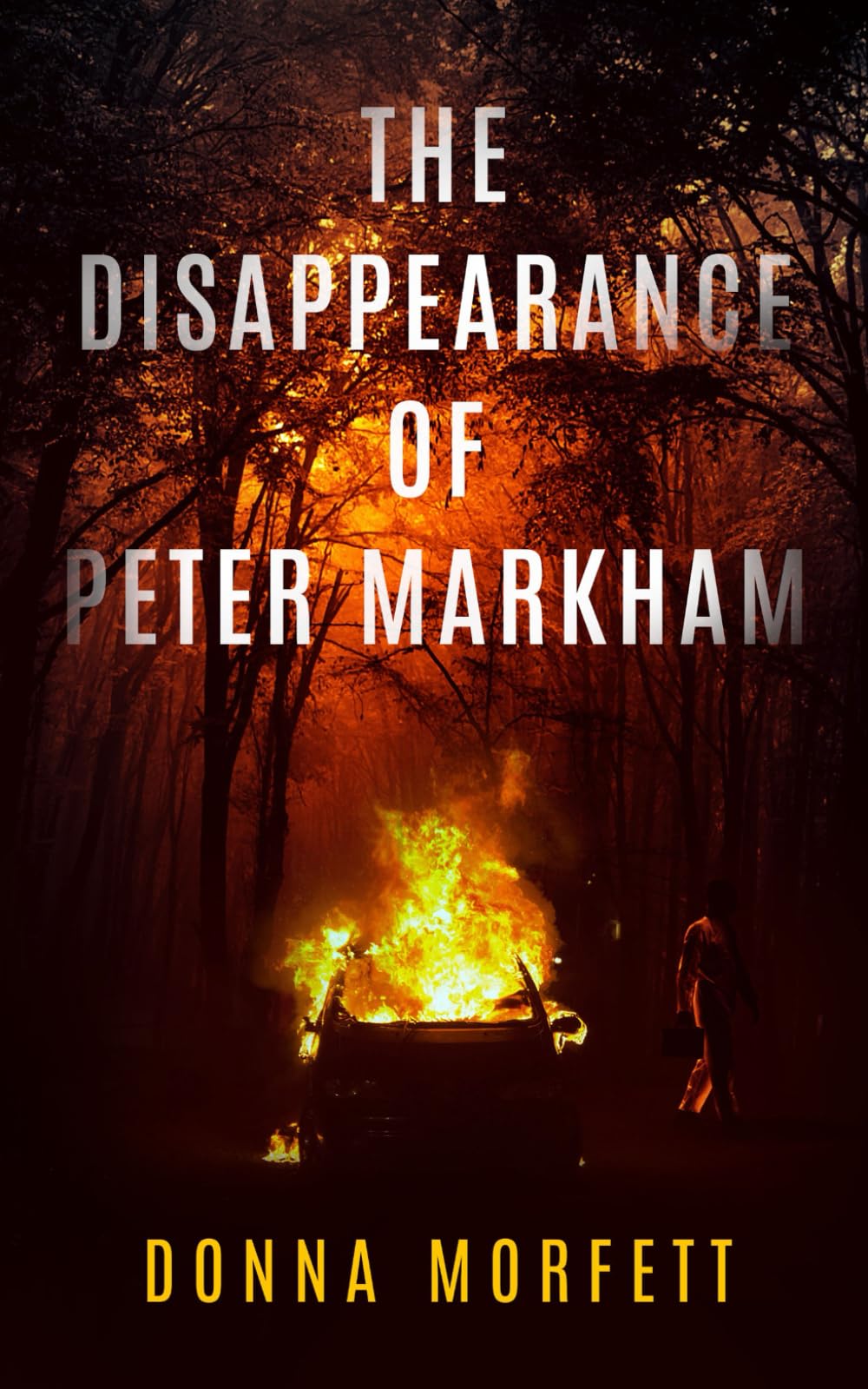 The Disappearance of Peter Markham: First book in a gripping new crime police procedural series. For crime and mystery fans. (DI Cora Snitton detective crime thriller book 1) Contemporary literature Books