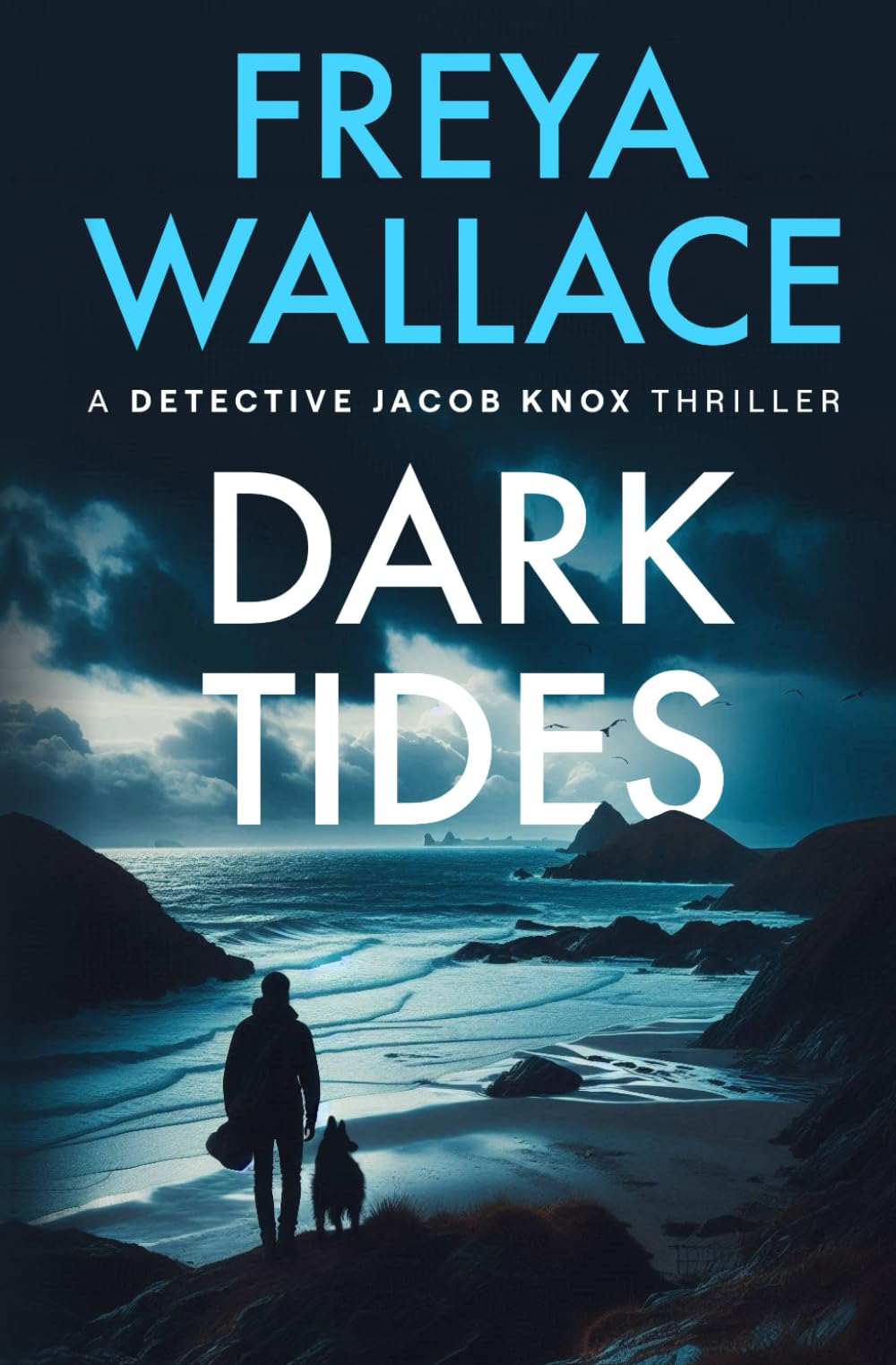 Dark Tides: A Devon Murder Mystery (Detective Jacob Knox Thriller Book 2) Action & Adventure