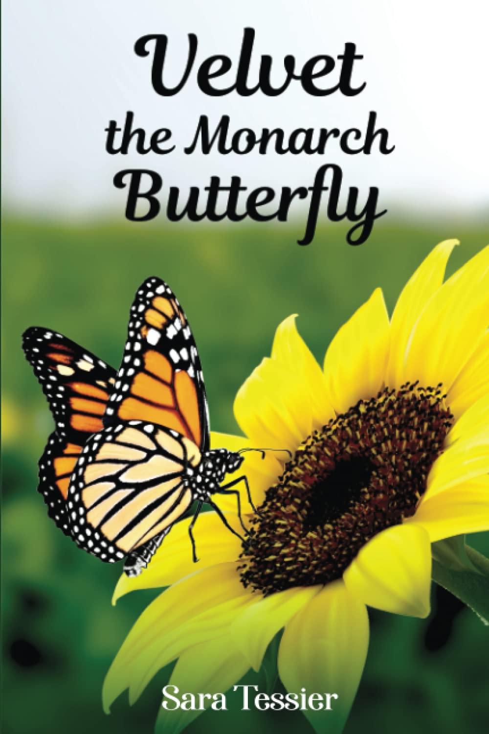 Velvet the Monarch Butterfly: In Search of Milkweed (Pollinators & Stories.) Mathematics