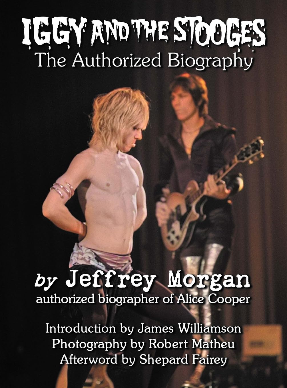 Iggy and the Stooges: The Authorized Biography Art & Literature