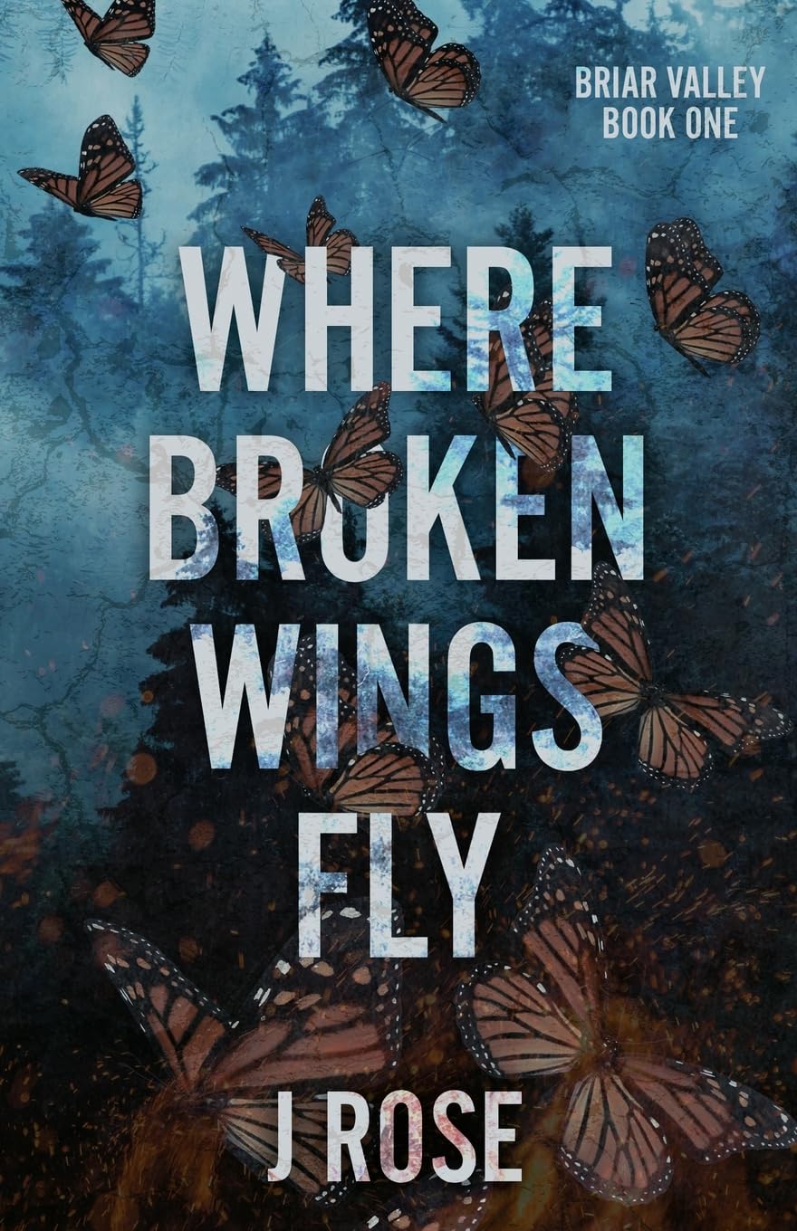 Where Broken Wings Fly: A Small Town Reverse Harem Romance (Briar Valley, Band 1) Social Sciences